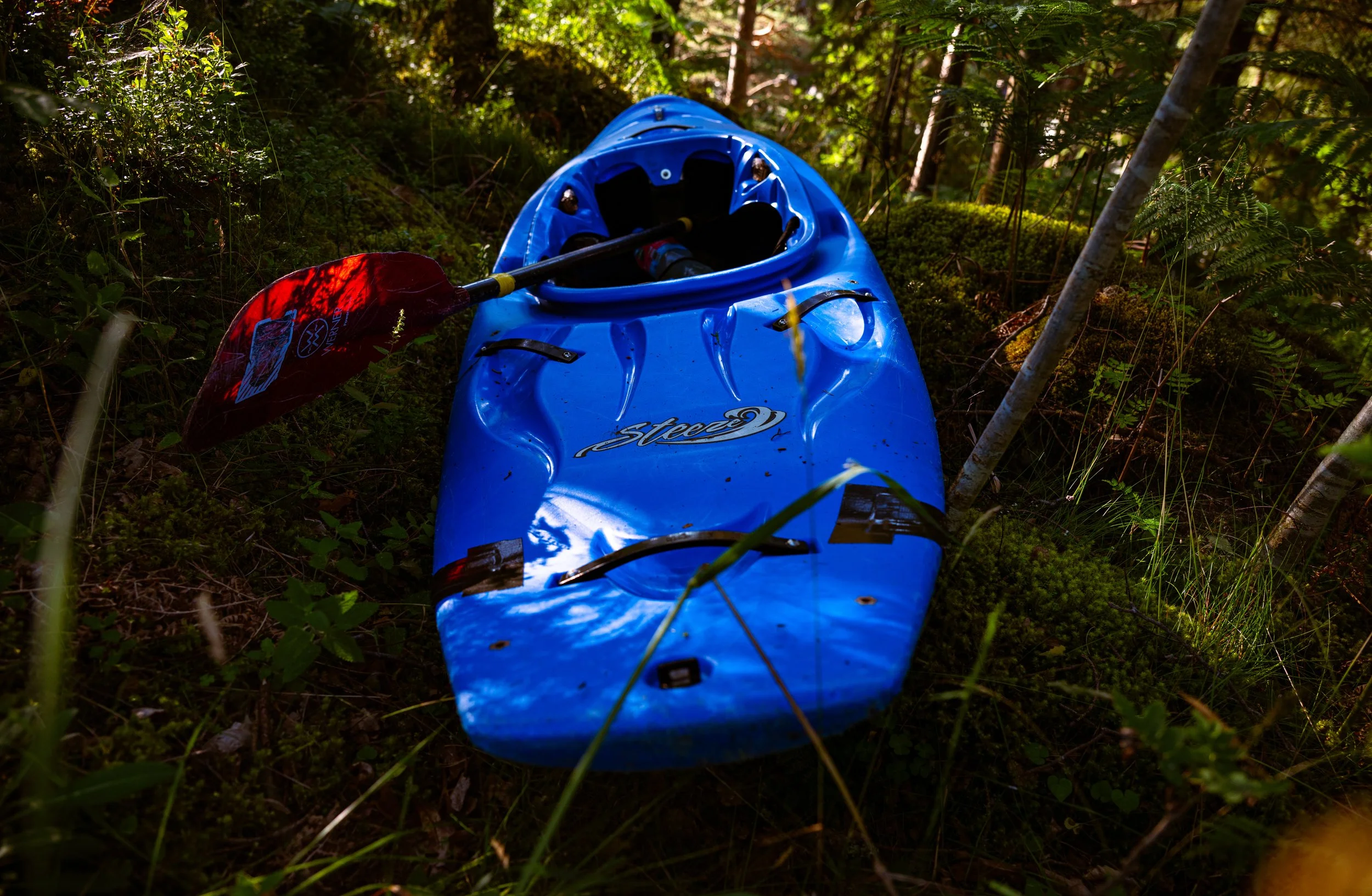 DSC_1263.jpg