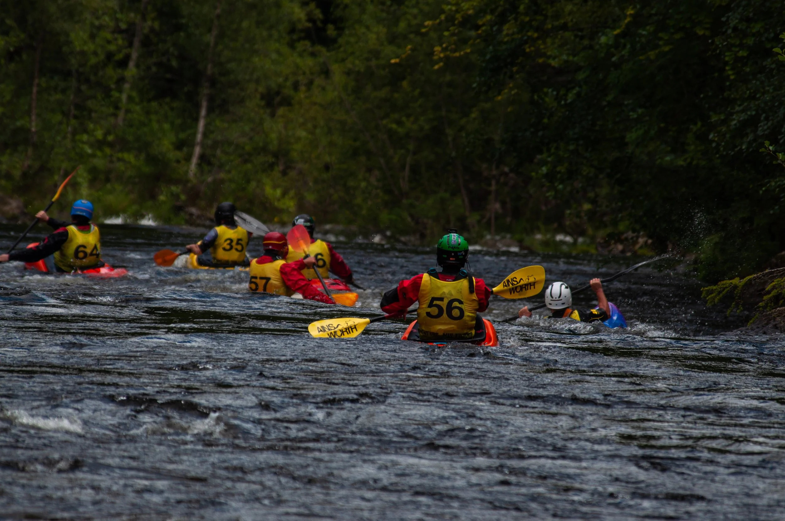 DSC_0484.jpg