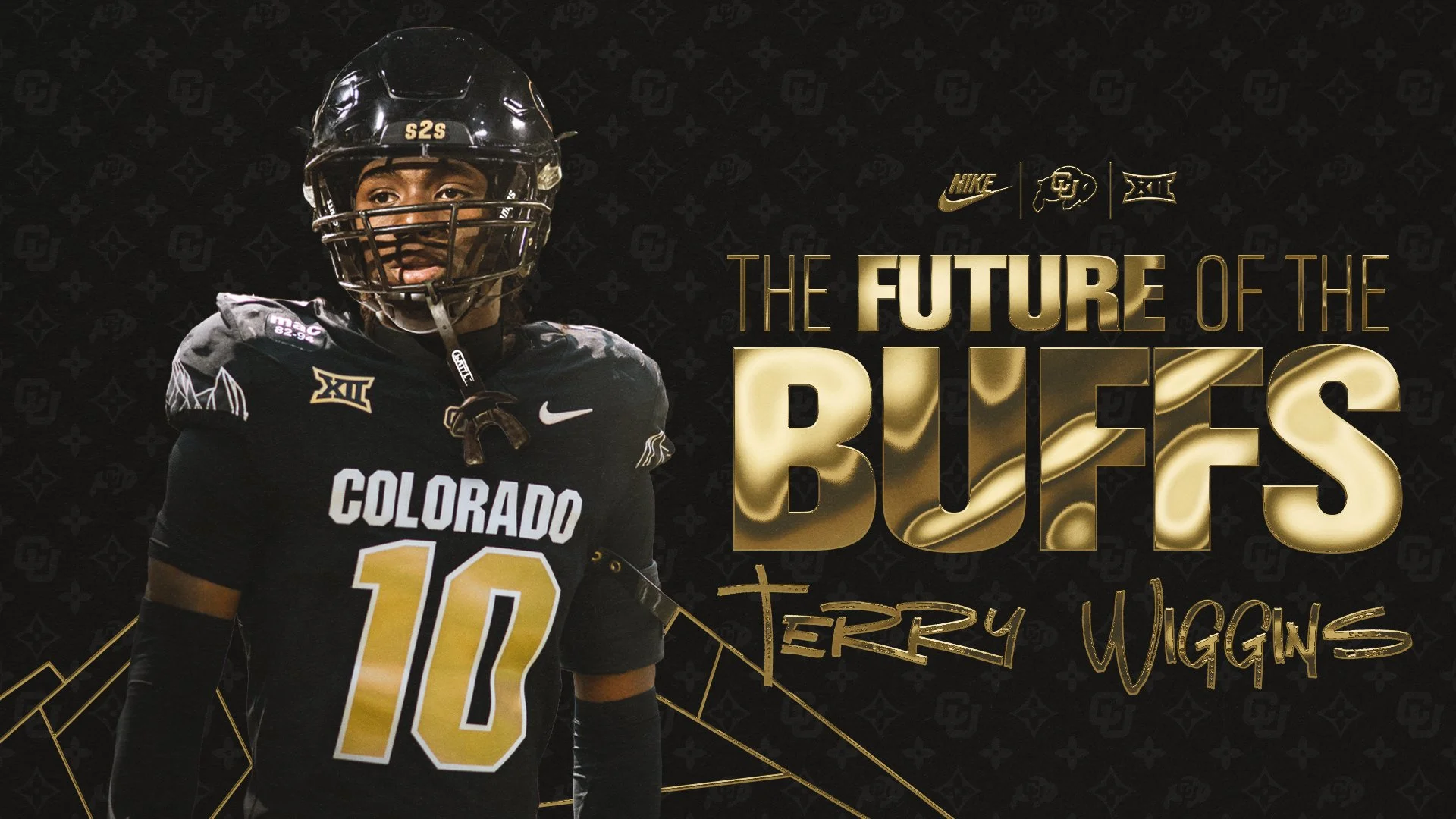 terry wiggins - Title Slide 01.jpg