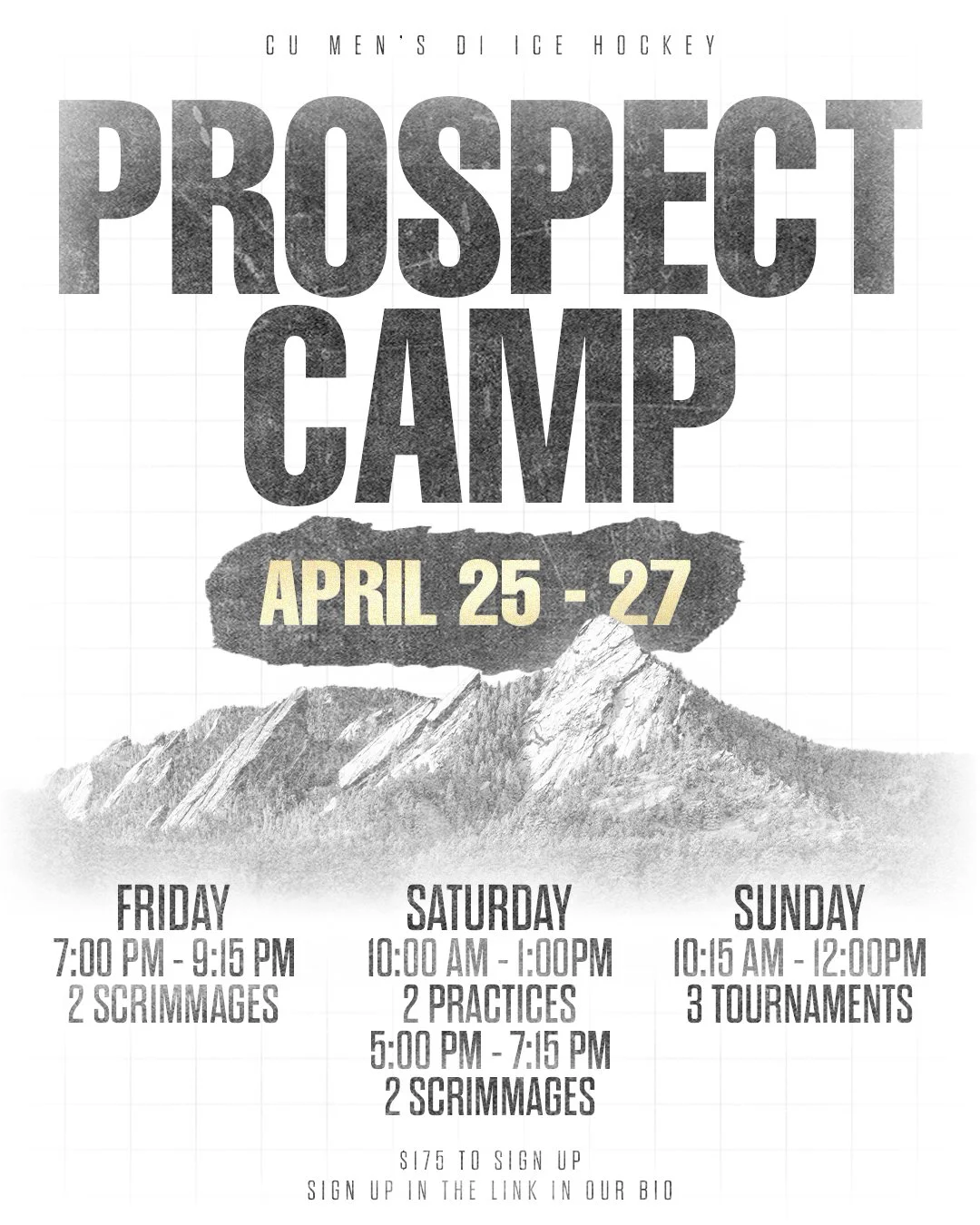 PROSPECT CAMP2.jpg