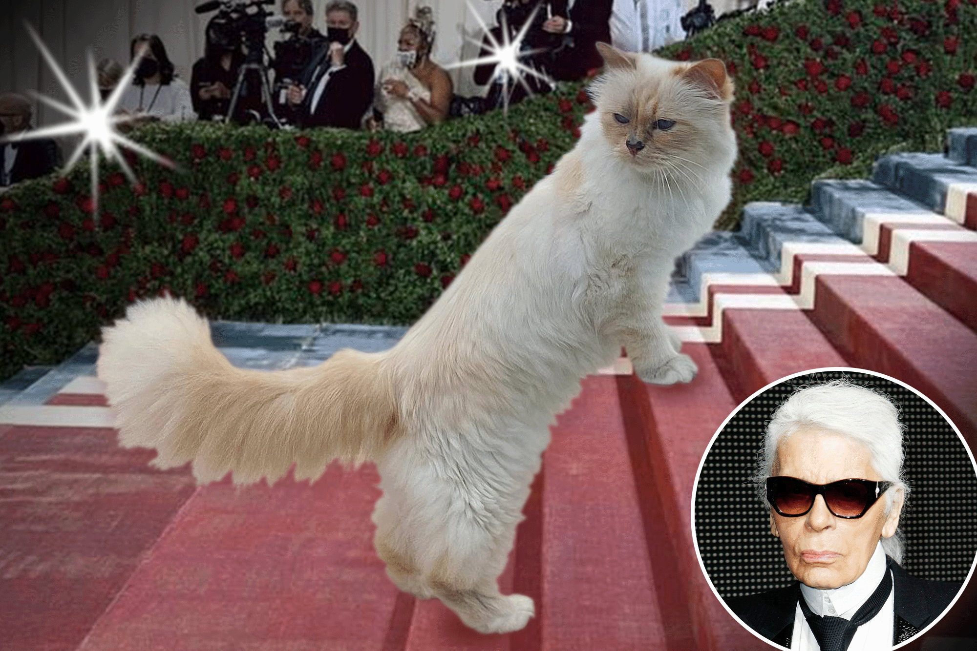 Met Gala gossip: Will Karl Lagerfeld's cat, Choupette, walk the carpet?