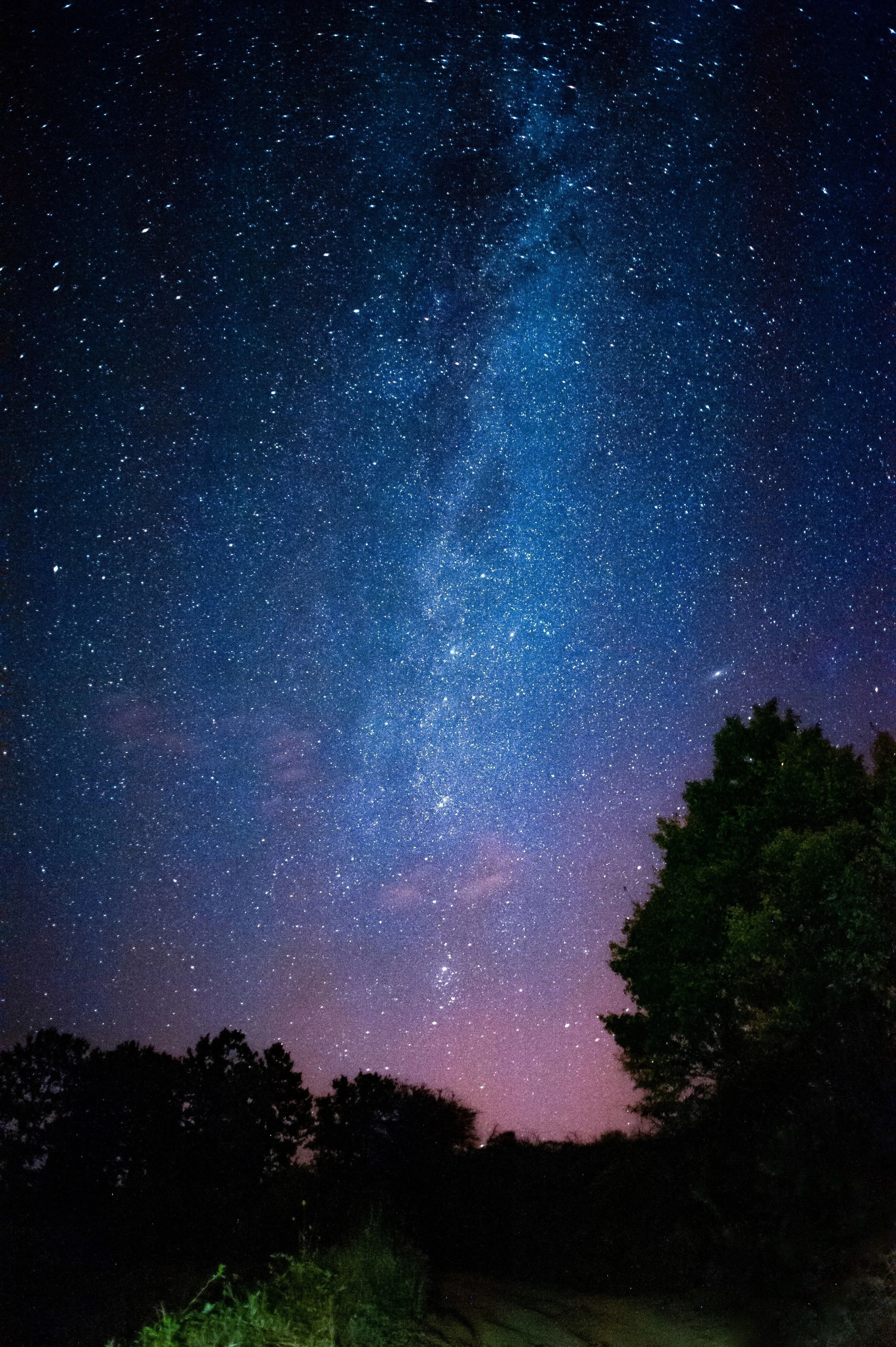 Like the Stars Forever