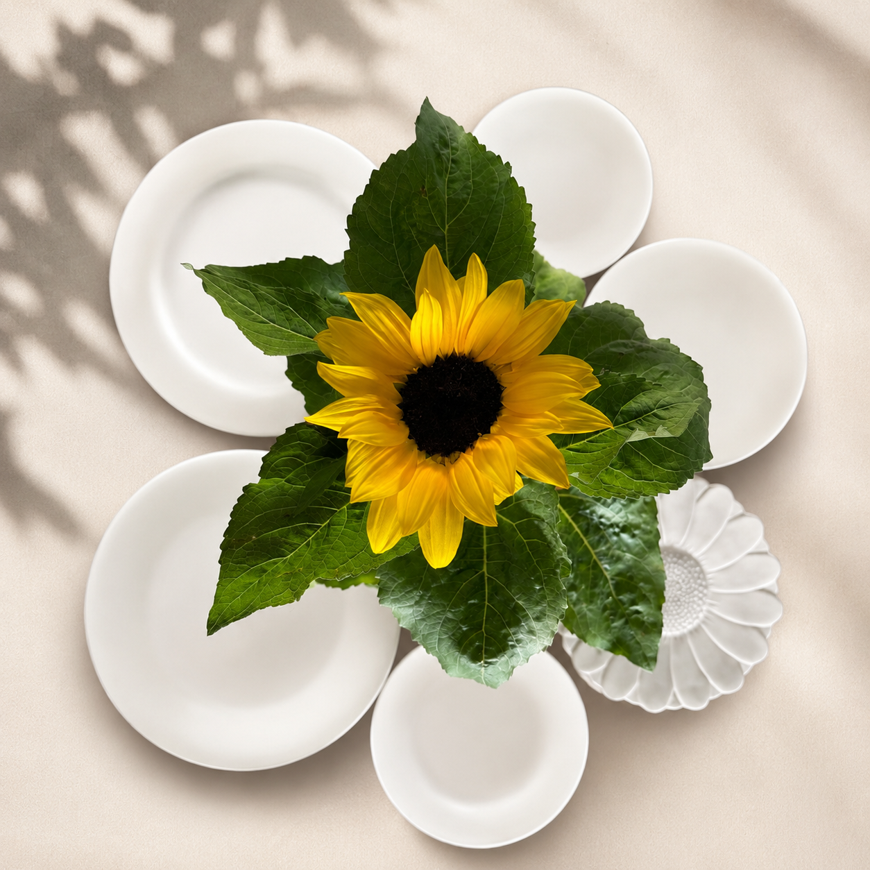 Sunflower workshop 