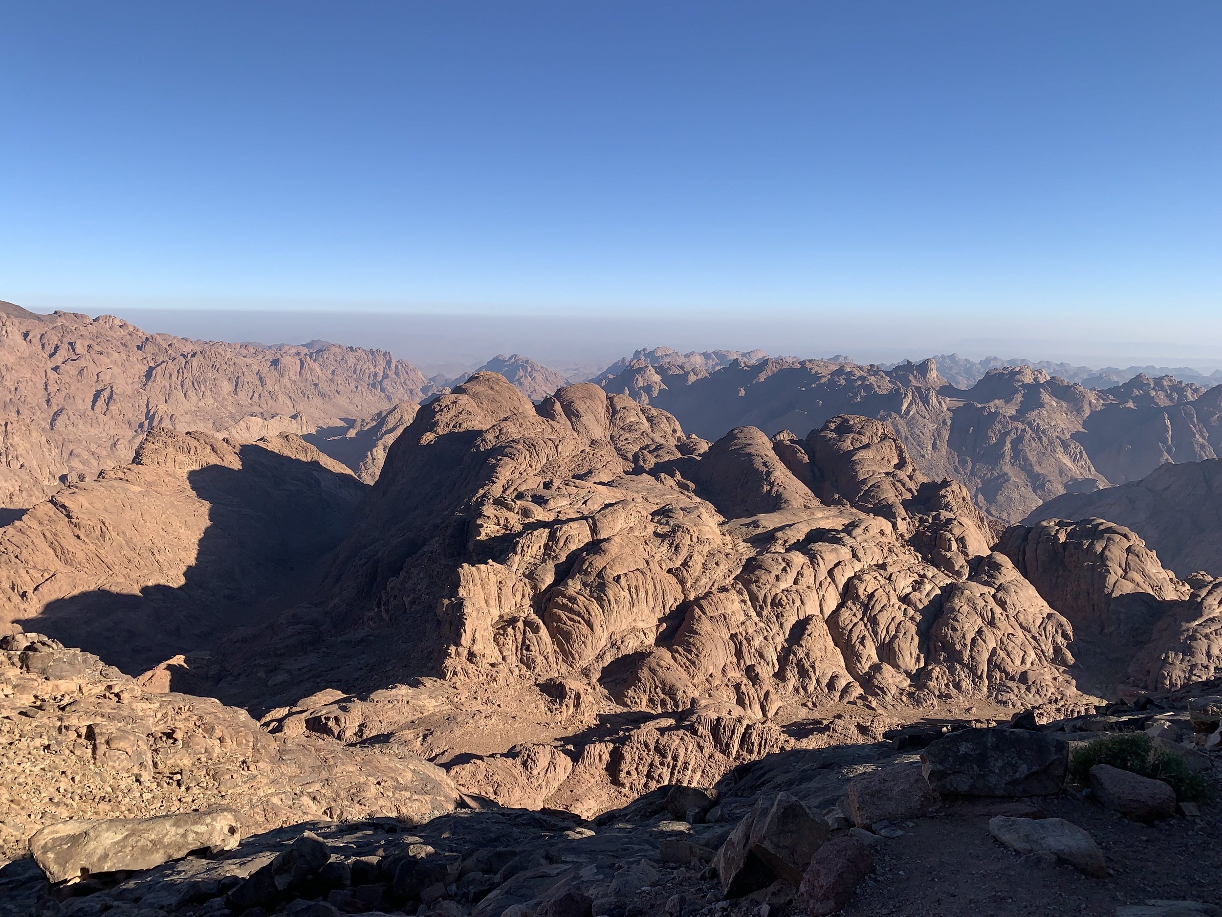 Vibrant coral reef with various colorful fish swimming among coral formations.