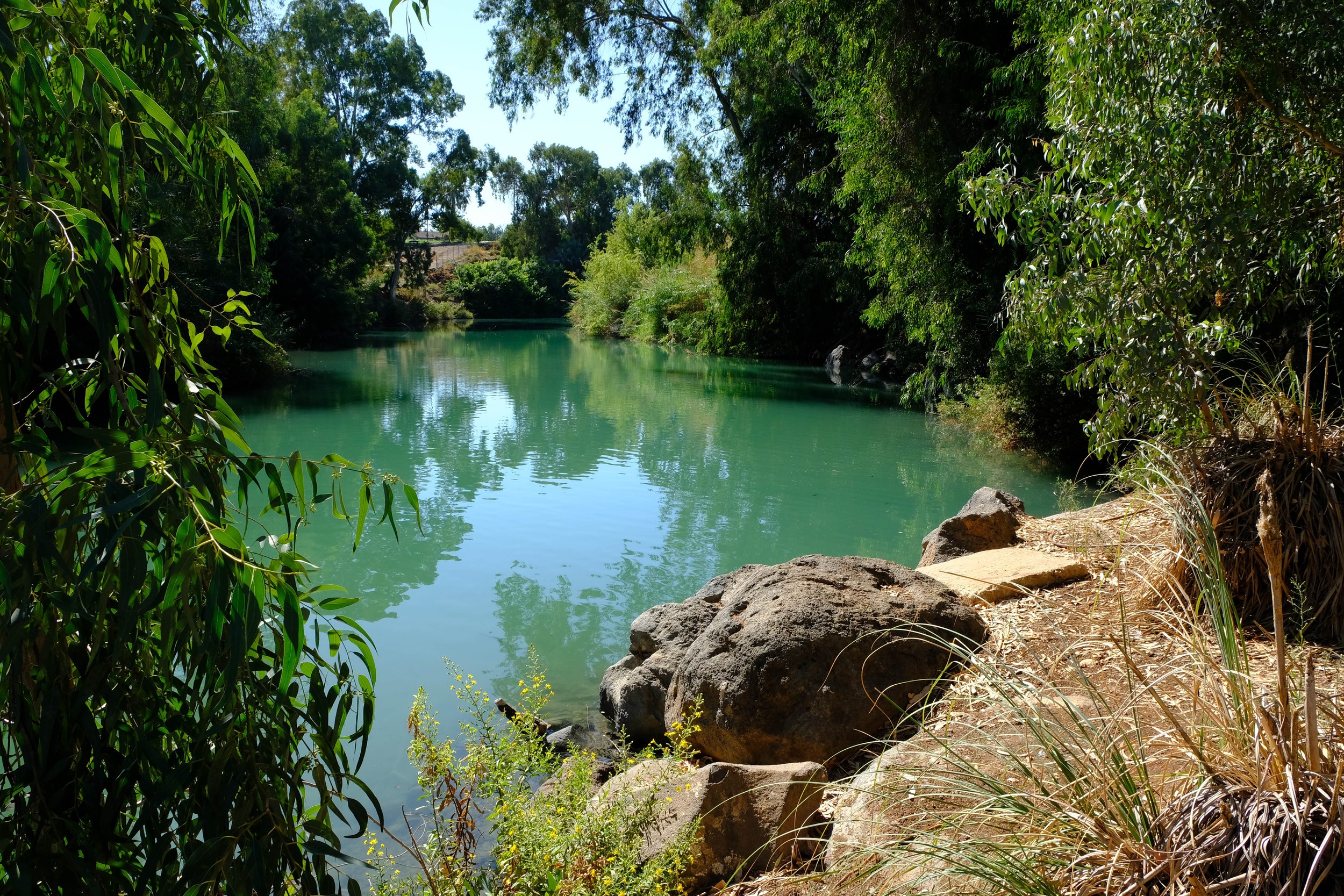 A peaceful river scene with calm green water, surrounded by lush green trees and bushes, with rocks along the riverbank.