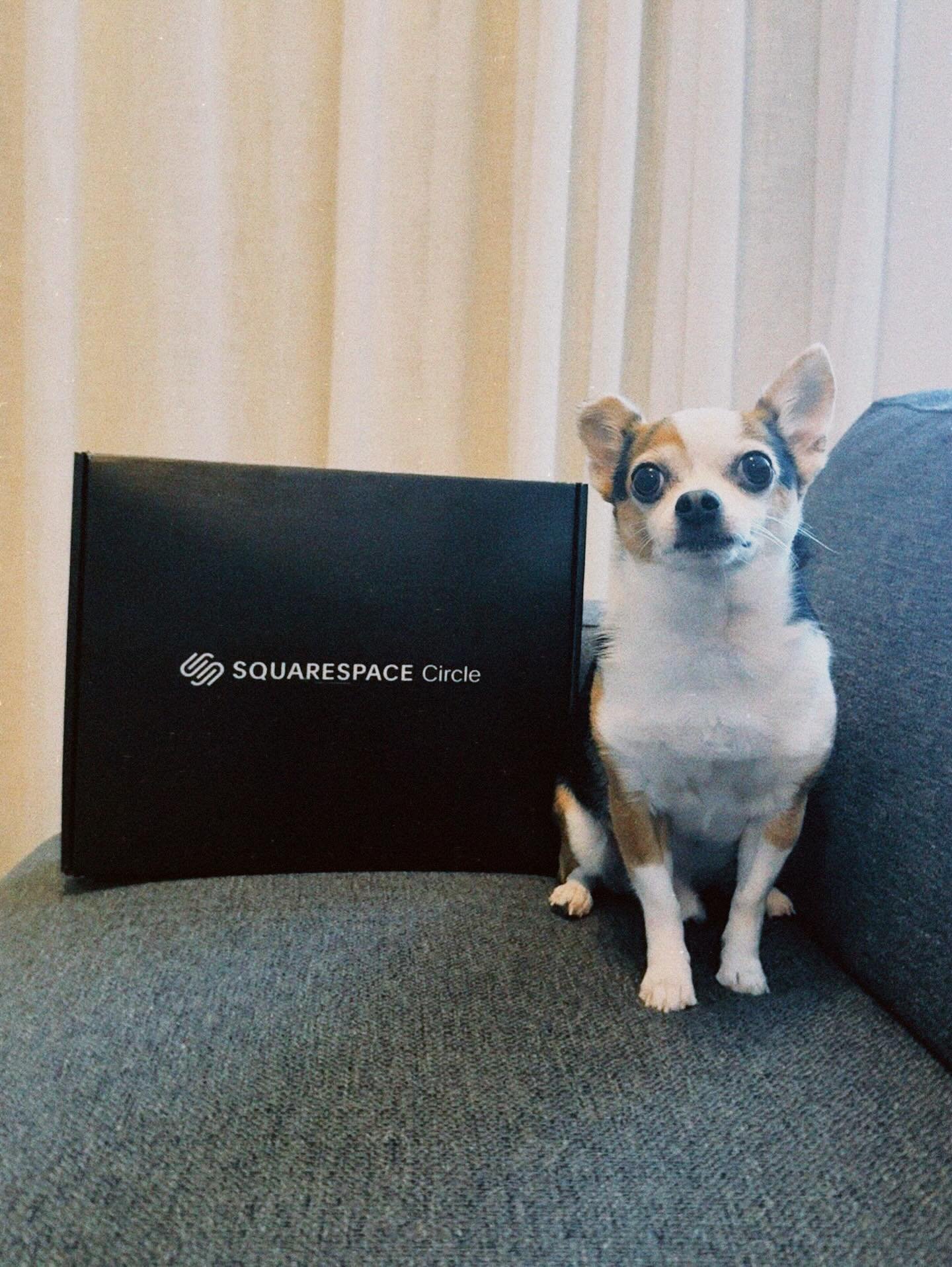 Do it like Charlie&mdash;don&rsquo;t walk, JUMP into Circle Day!
(Check the BTS video, and you&rsquo;ll get it 😂)

In-person tickets in NYC are already gone (sorry, Chau 😭), but you can still register for Circle Day online and join World Loop right