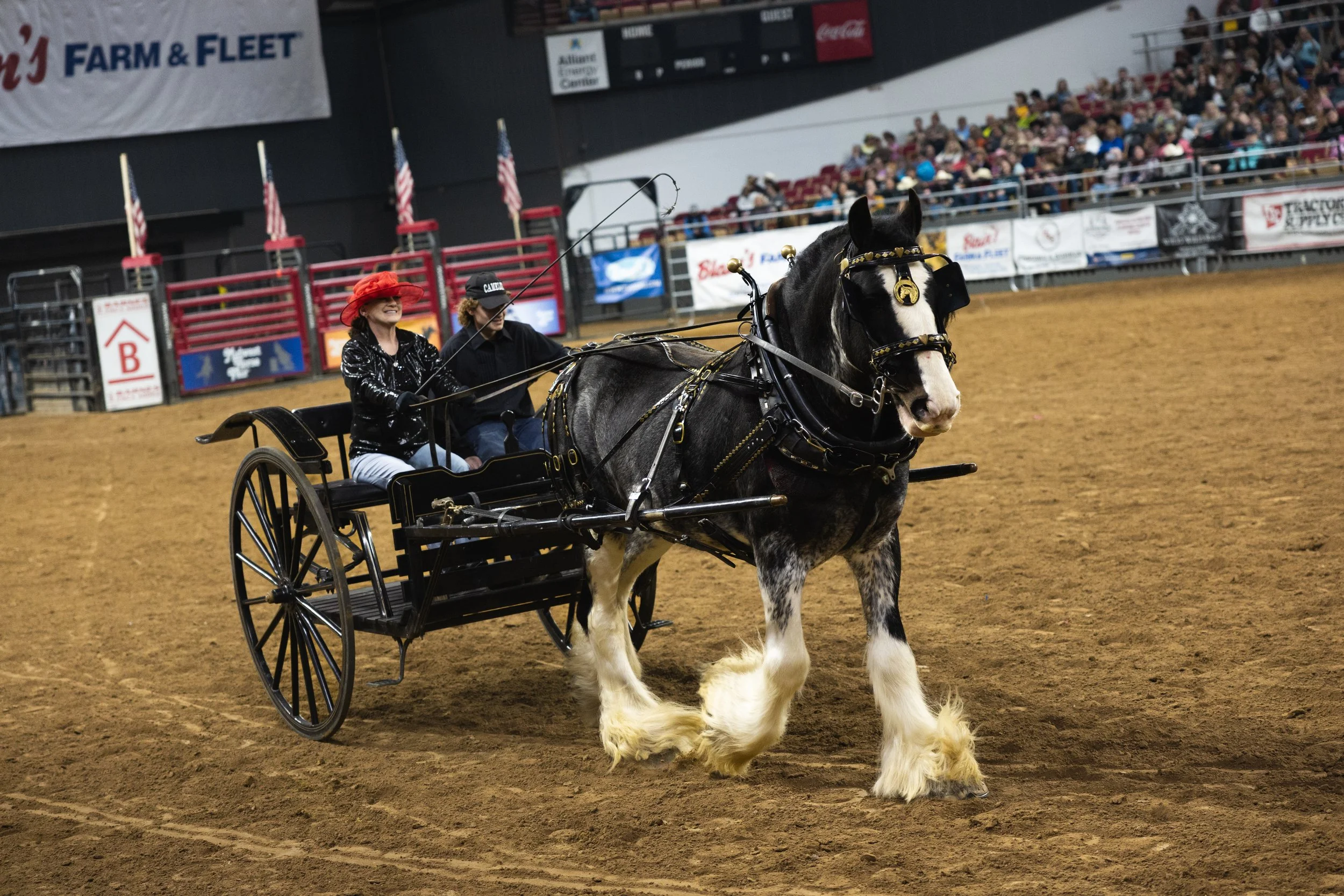 GRAND MARCH_DRAFT_MWHF-3.jpg