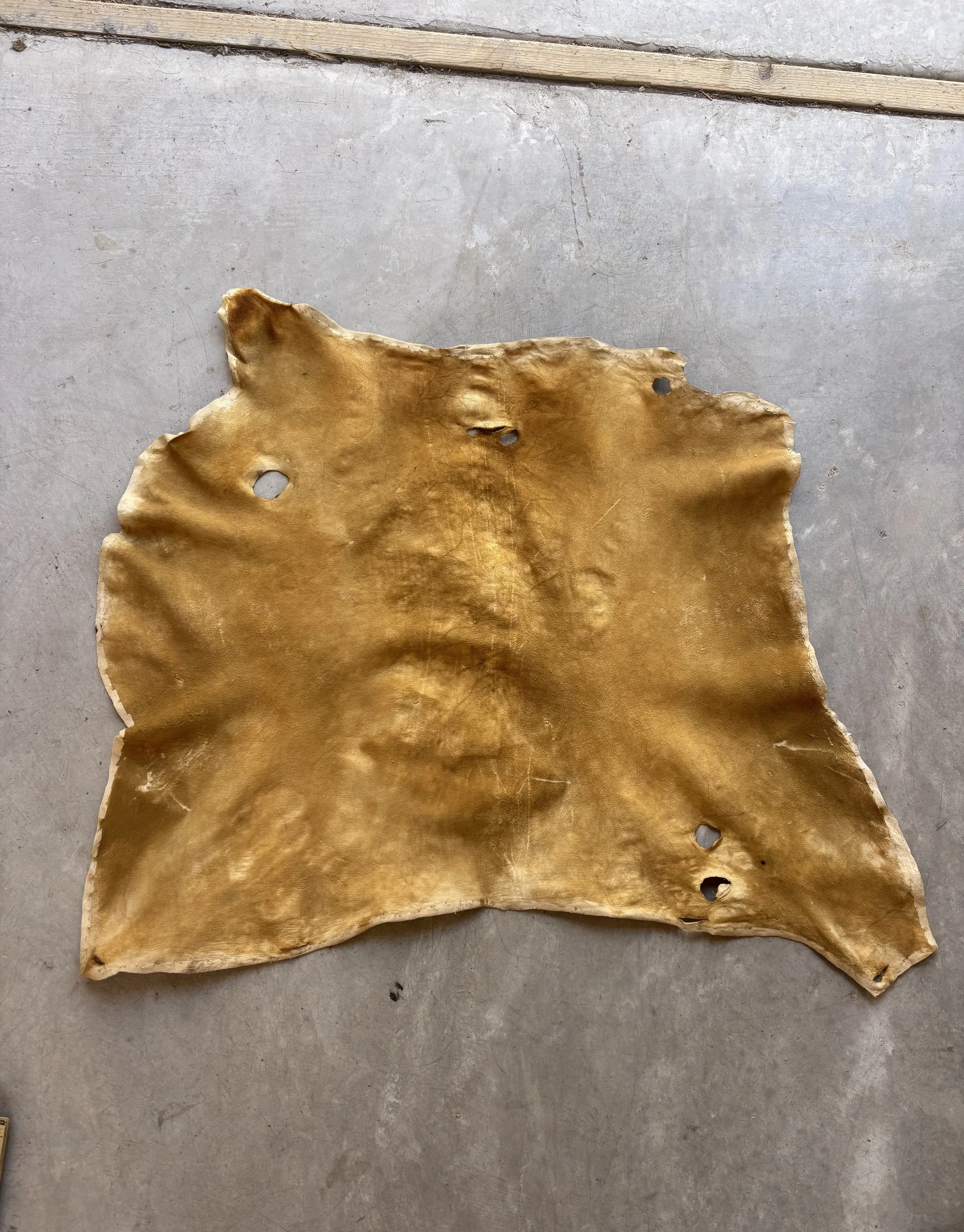 Brain Tanned Buckskin - 4.5 Square Feet (Half Hide)