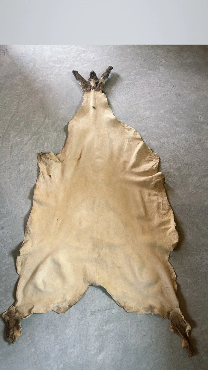 Diné Style Hide with Ears