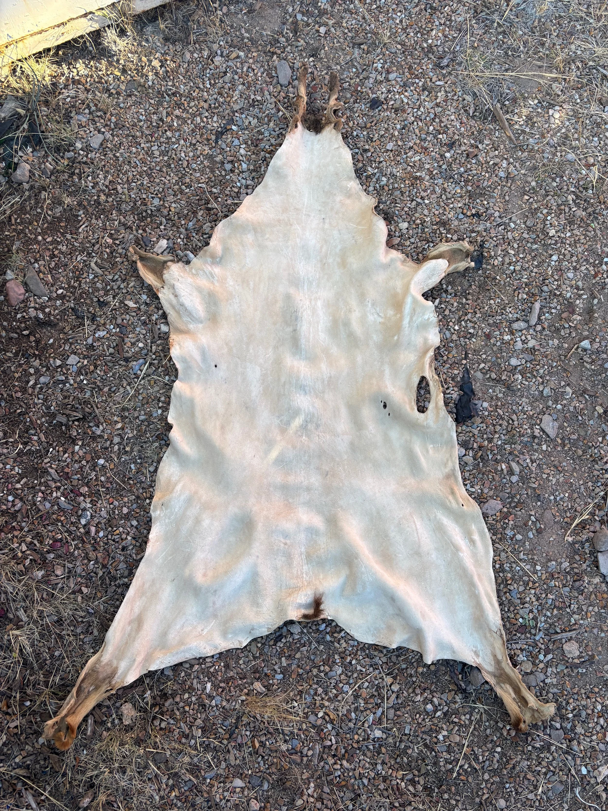 Navajo Style Ceremony Hide (4)