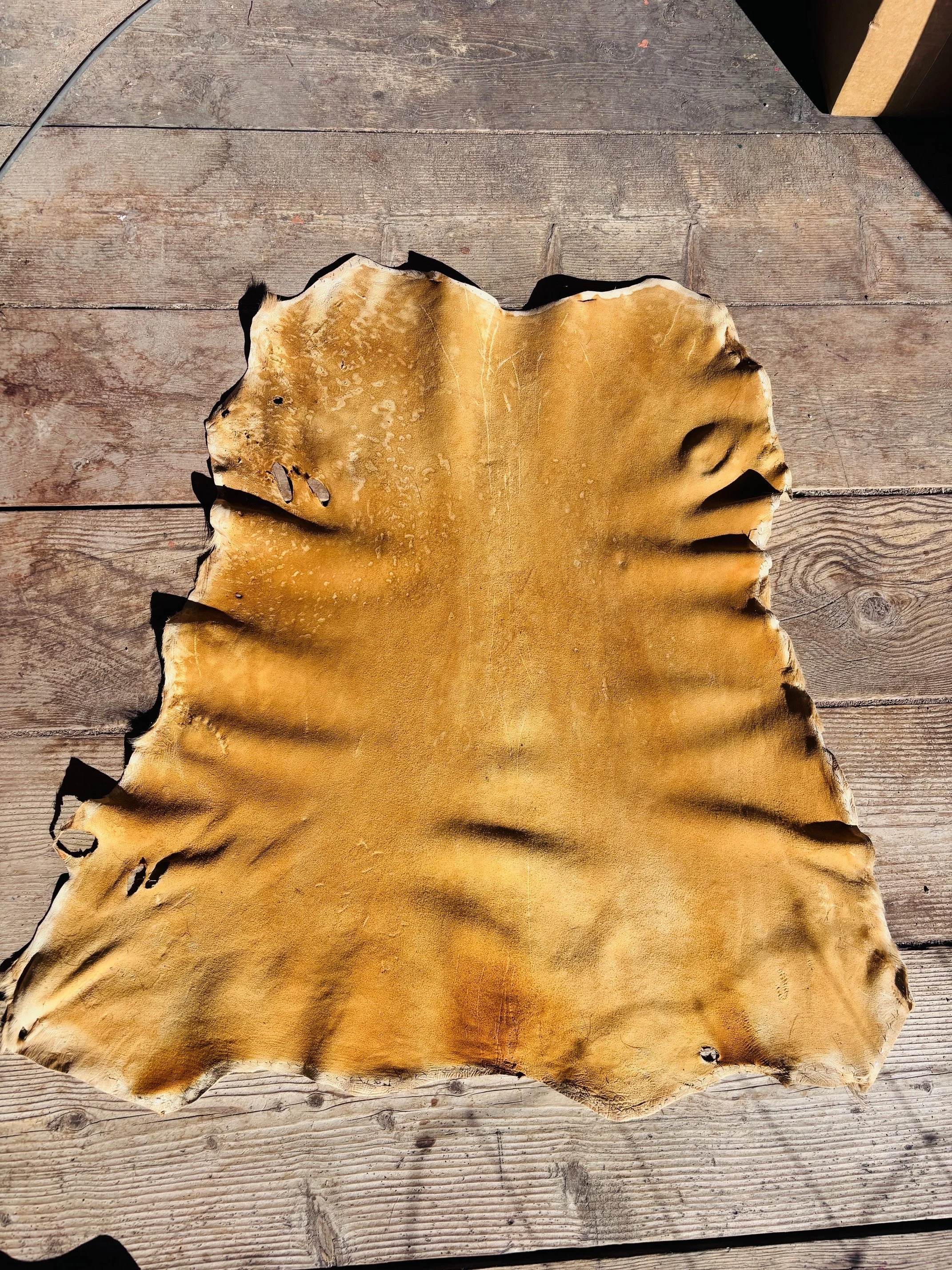 Brain Tanned Buckskin - 8 Square Feet