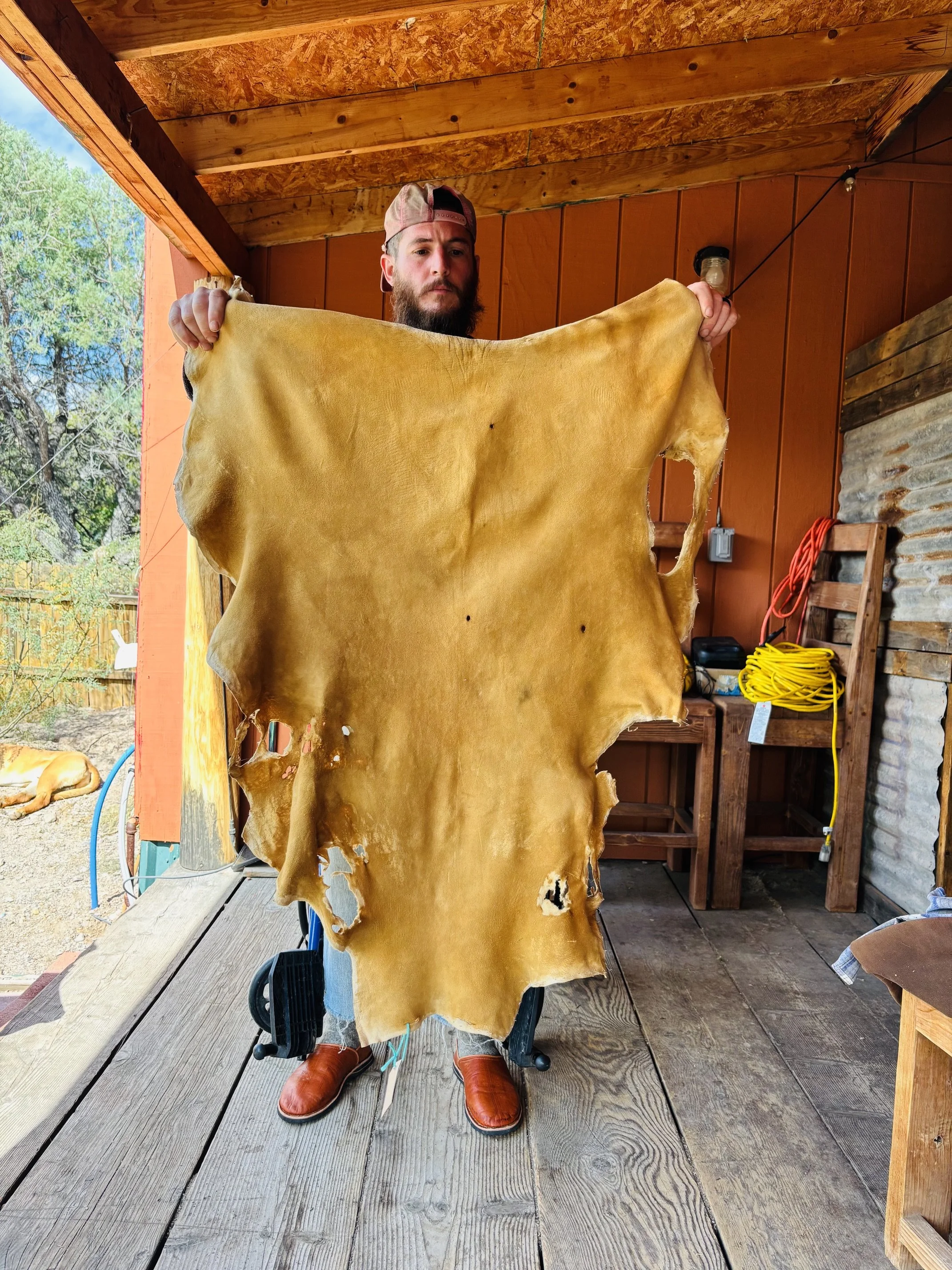 image2 (16).jpeg