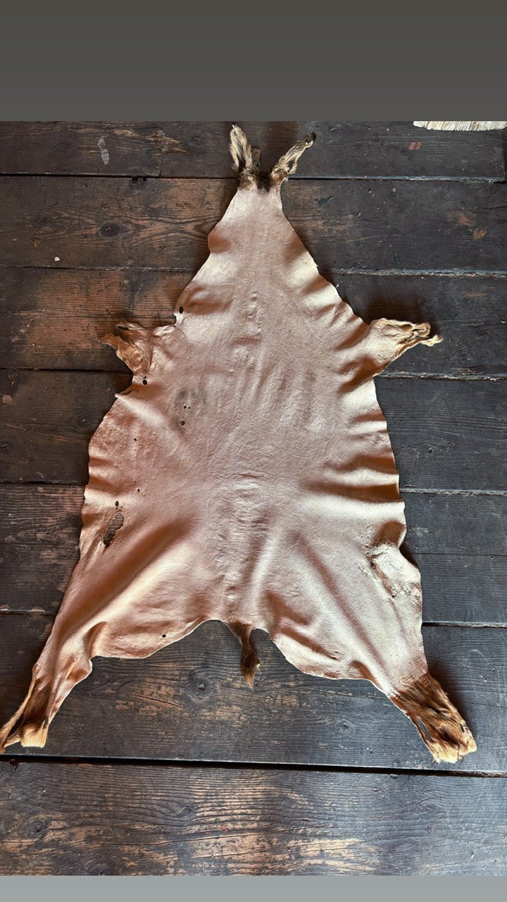 image1 (29).jpeg