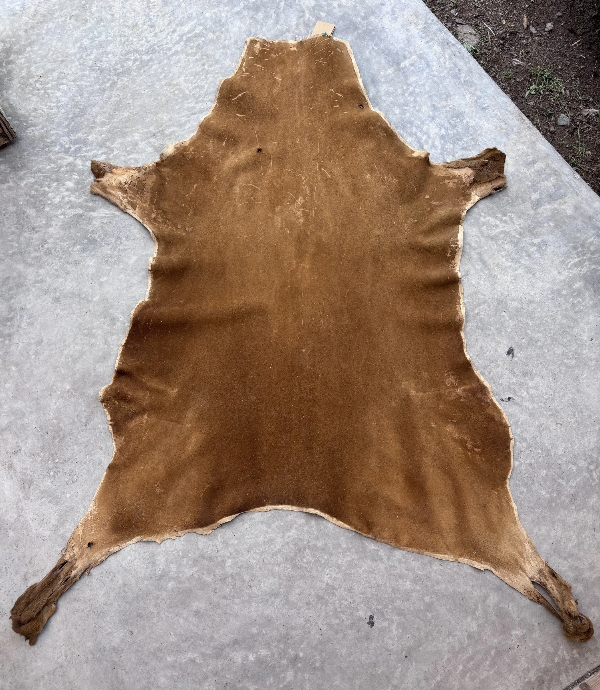 image2 (14).jpeg