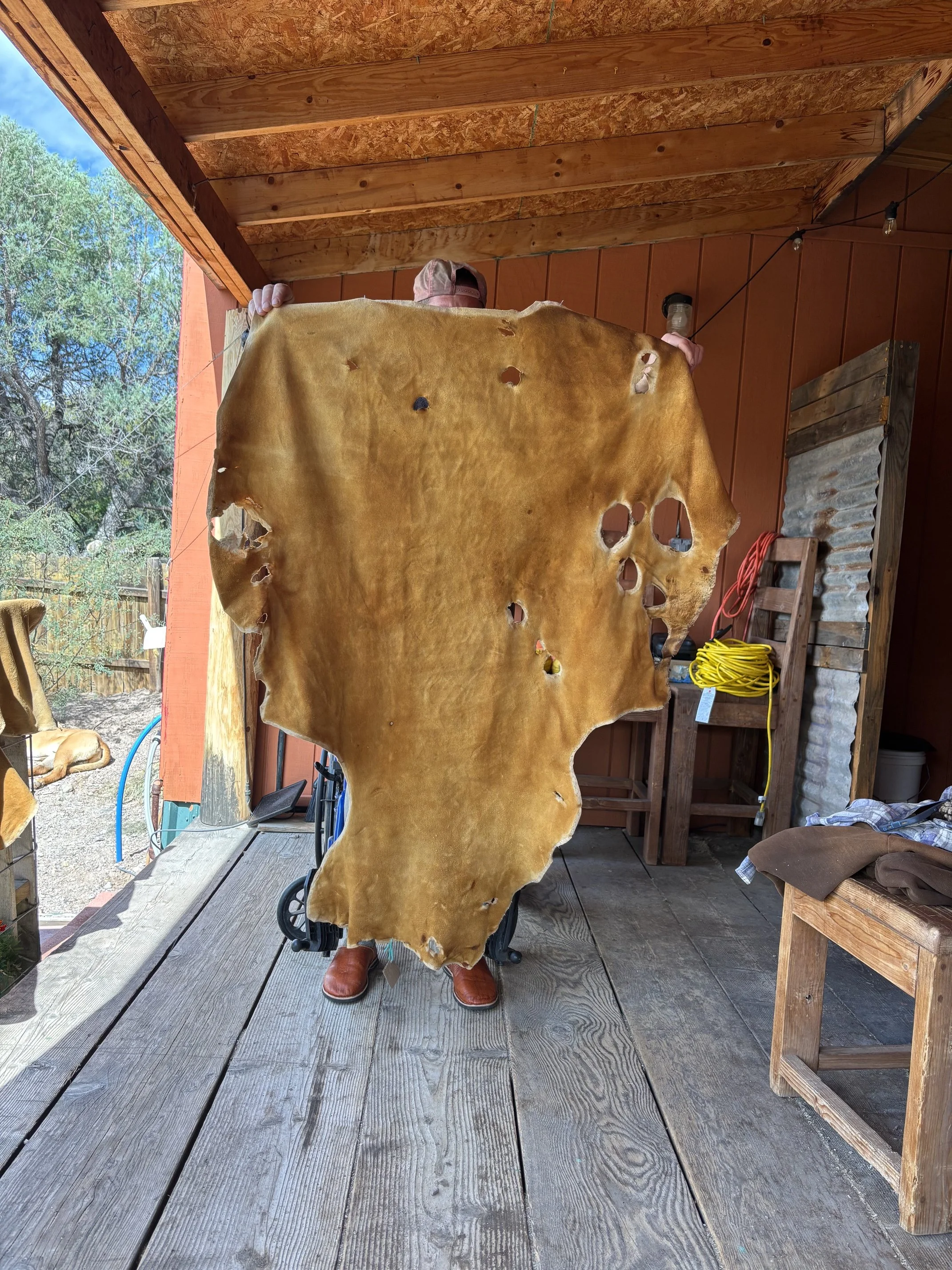 image2 (15).jpeg