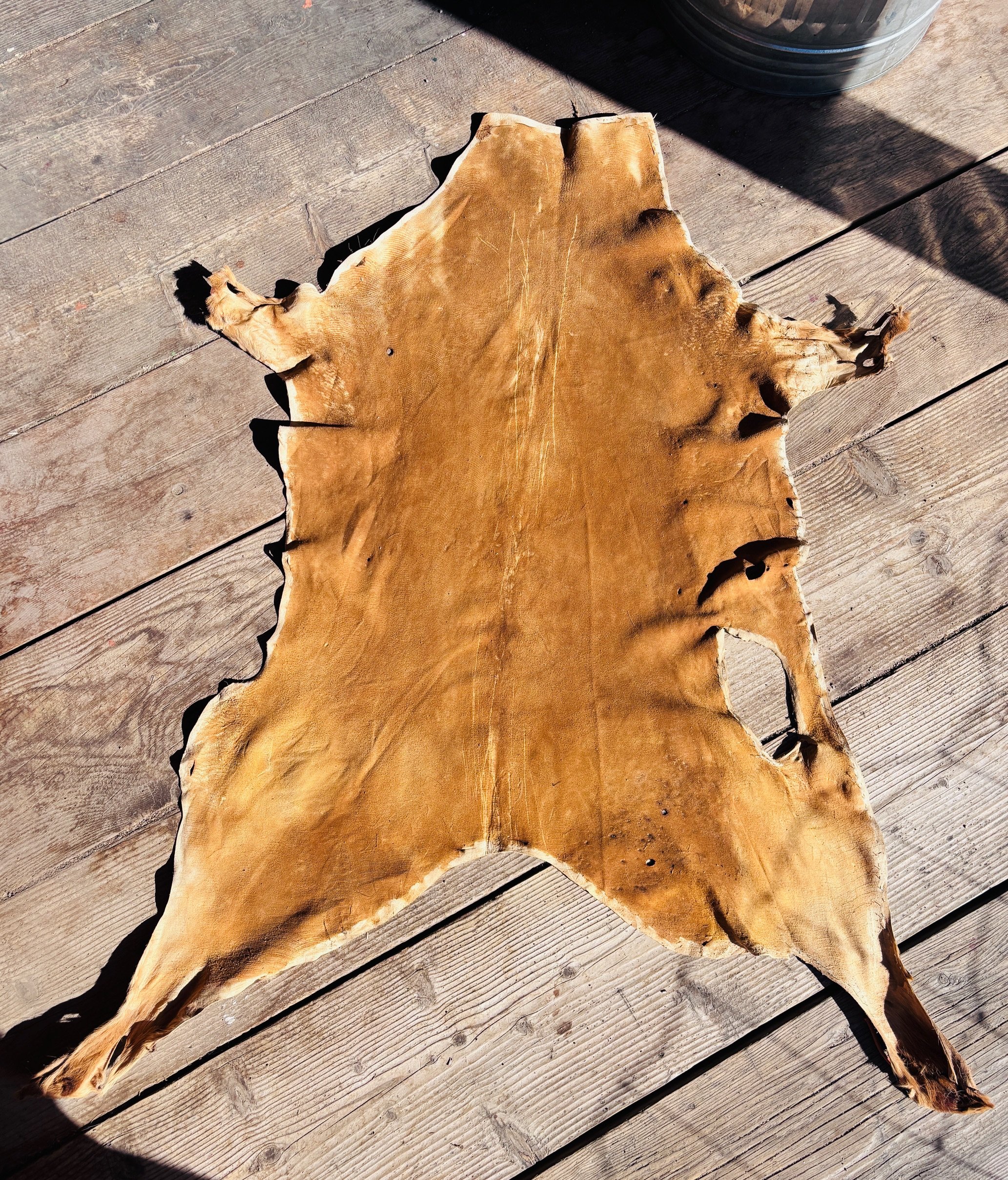 Brain Tanned Buckskin - 7.5 Square Feet (Reduced Price)