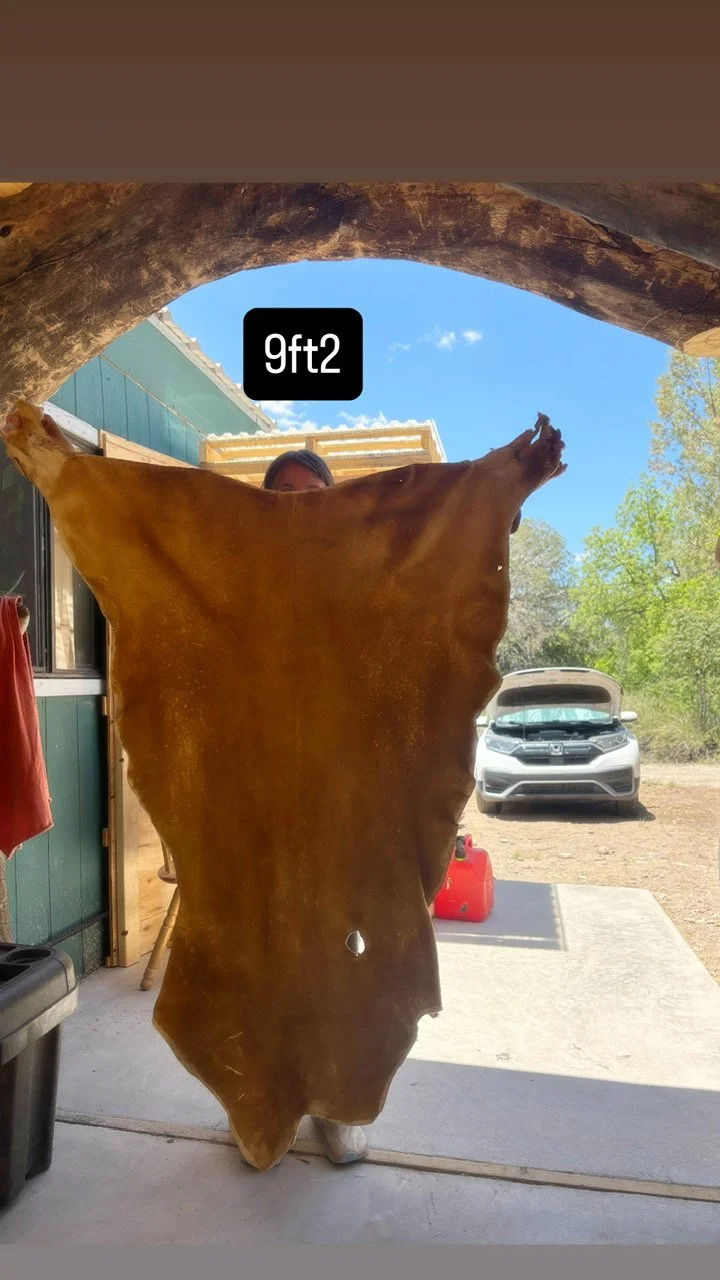 image2 (10).jpeg