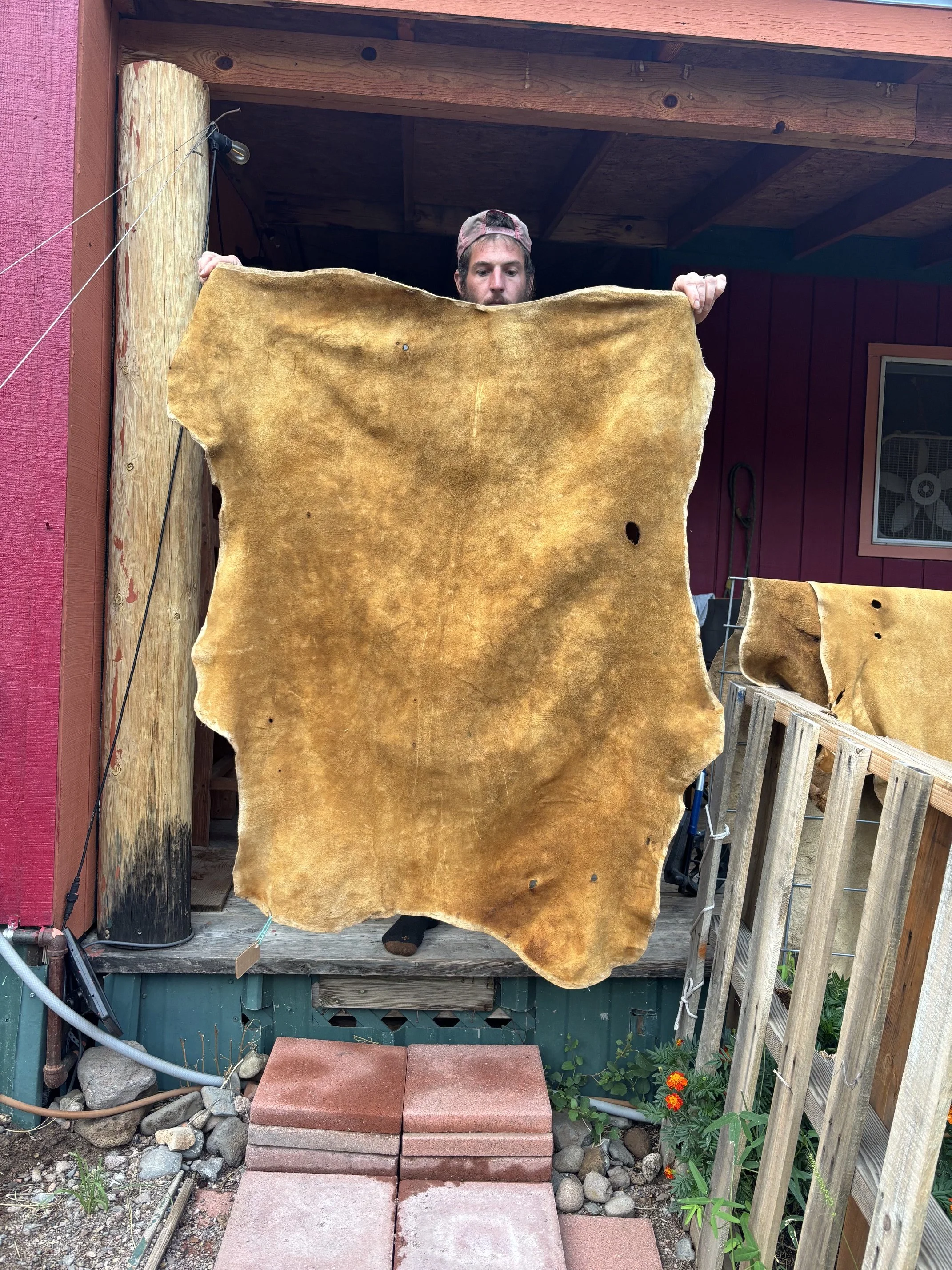 Brain Tanned Buckskin Elk - 12.5 Square Feet