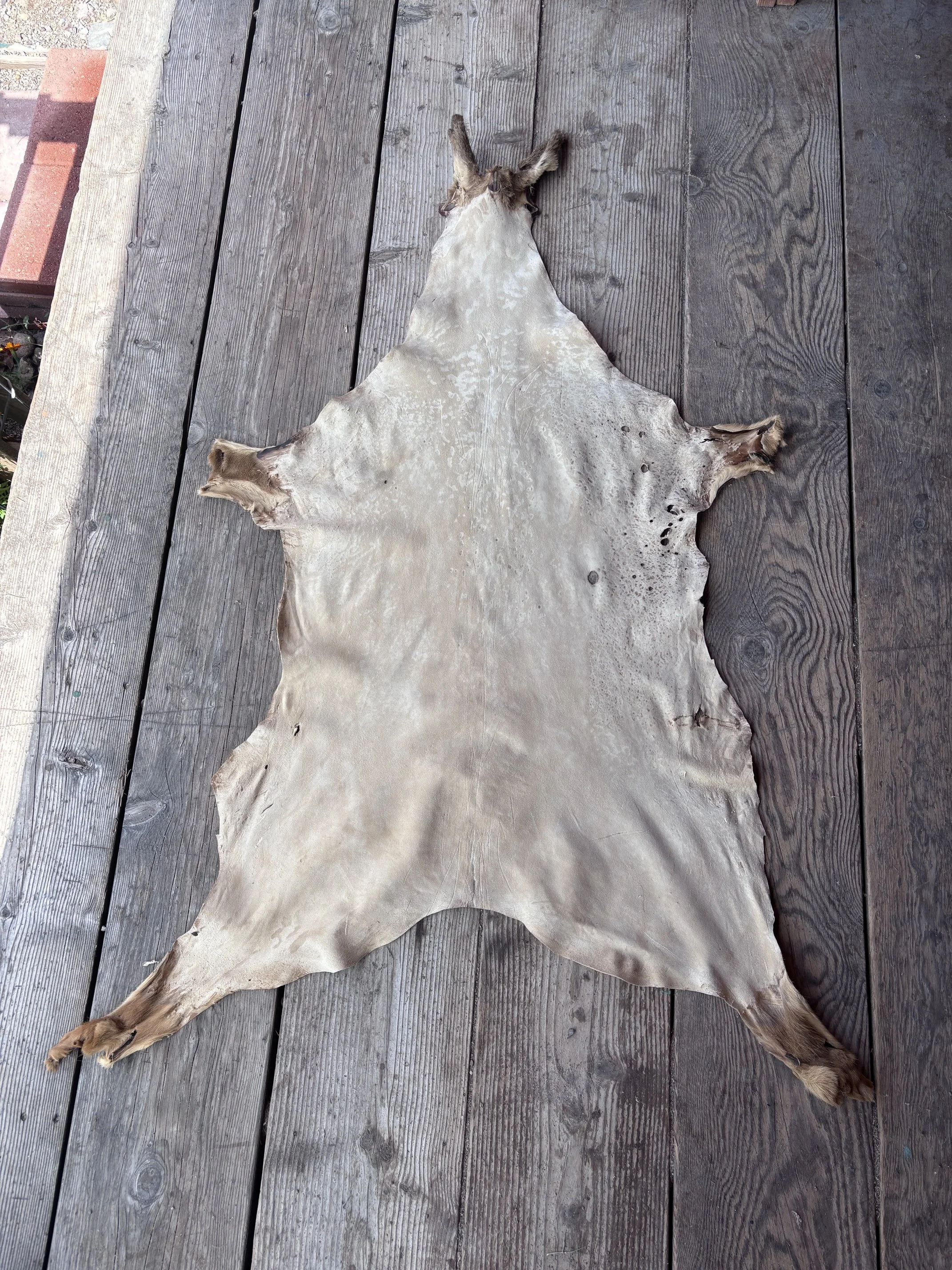 image3 (11).jpeg