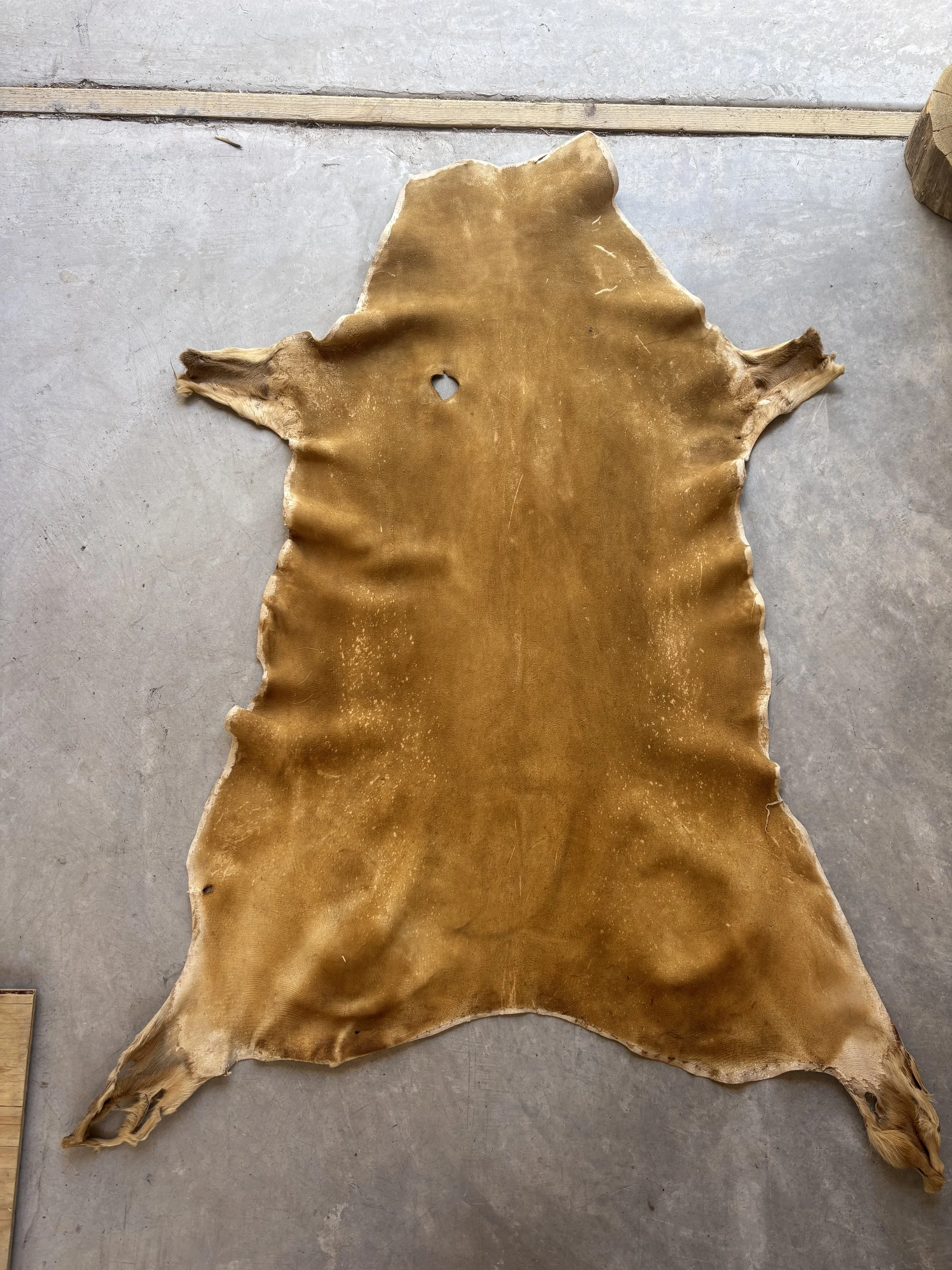 Brain Tanned Buckskin - 9 Square Feet