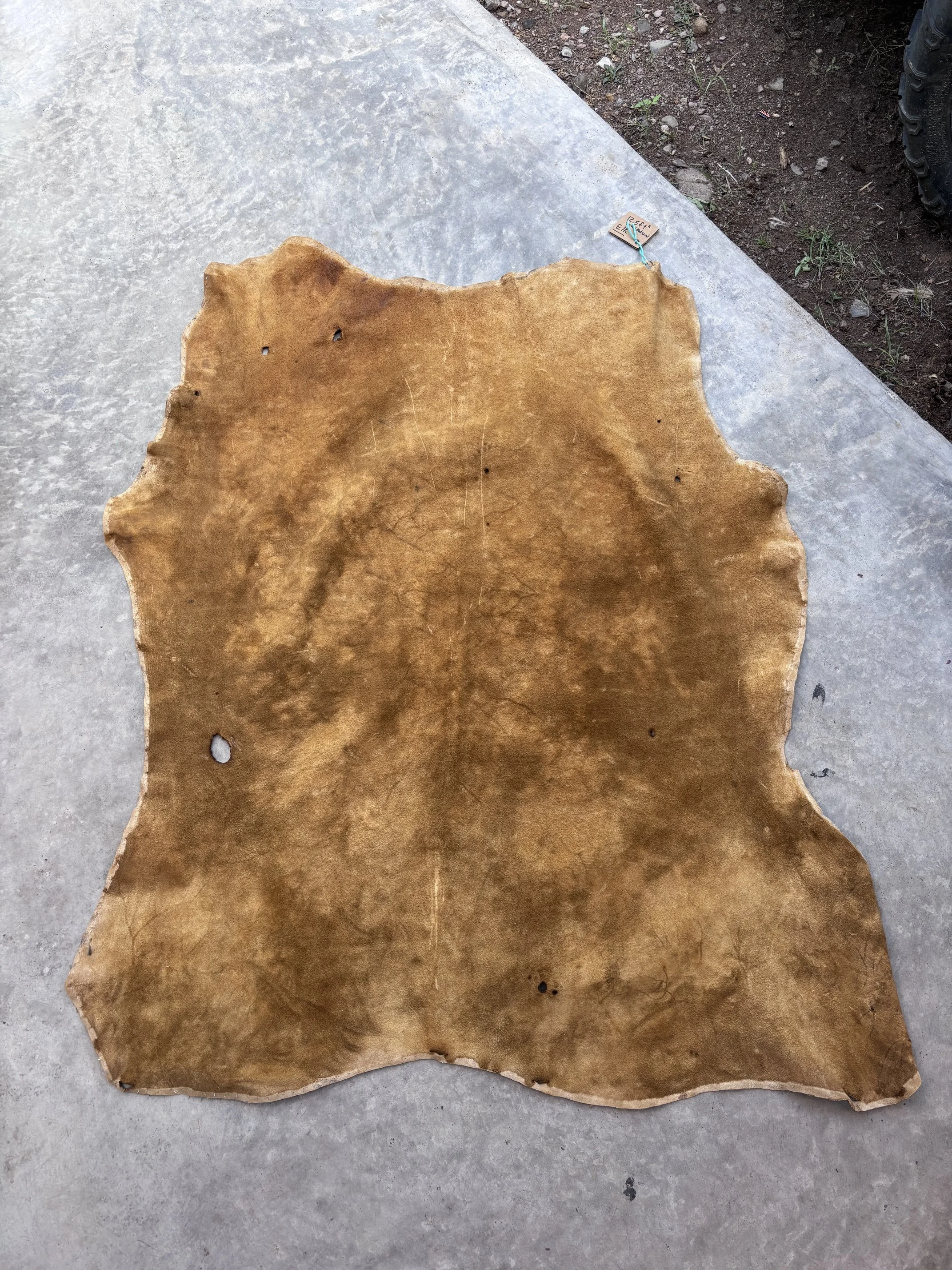 image3 (10).jpeg