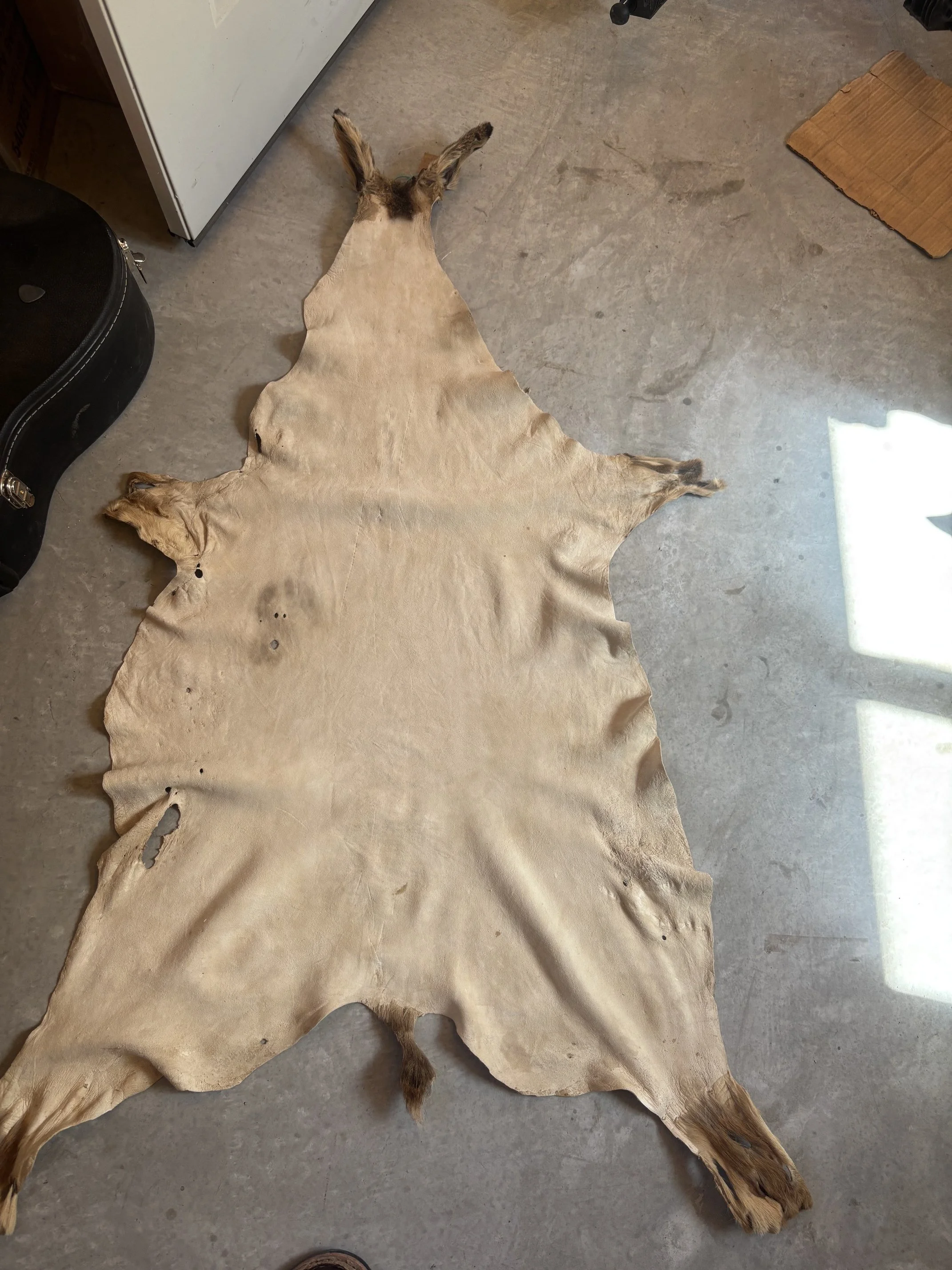 image2 (12).jpeg