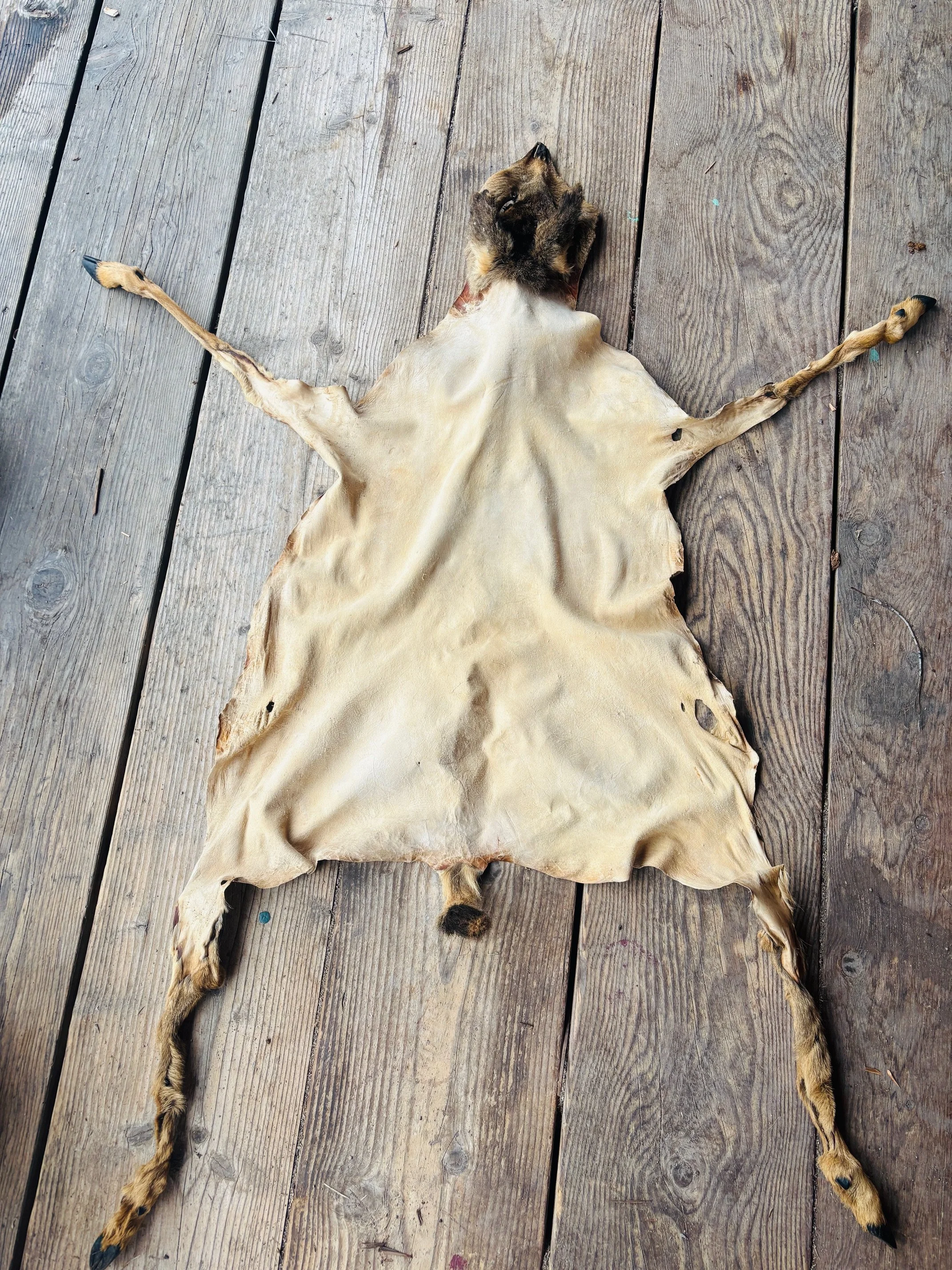 Navajo Style Ceremony Hide (All Appendages)