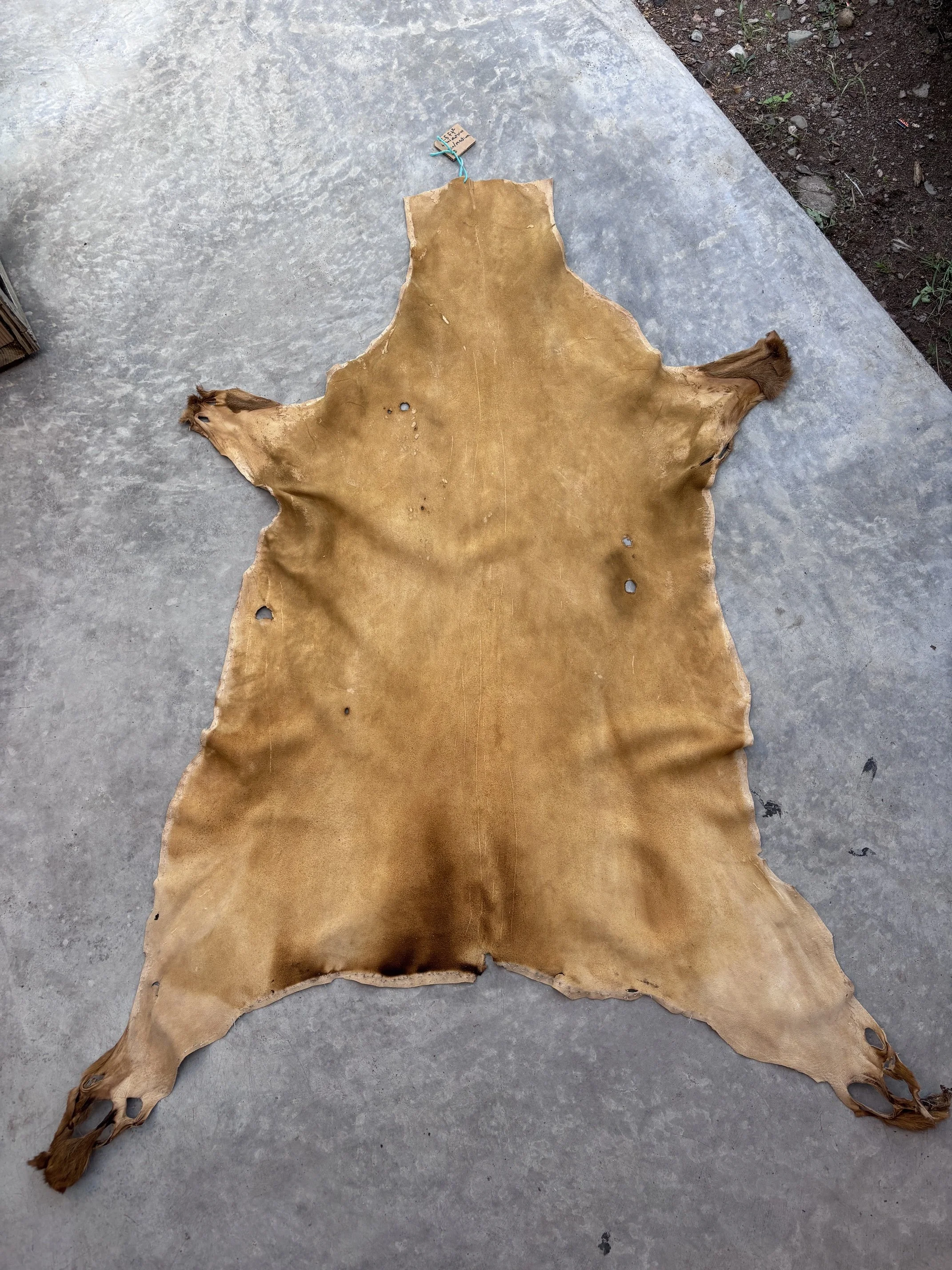 Brain Tanned Buckskin - 8.5 Square Feet