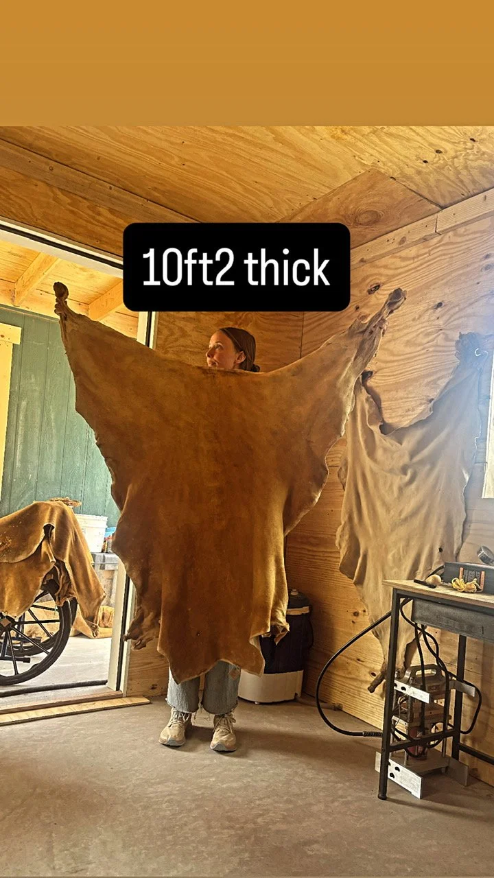 Brain Tanned Buckskin - 10 Square Feet