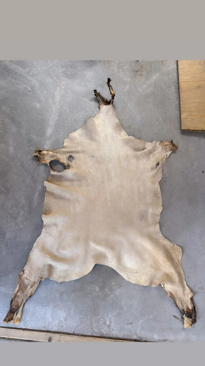 Diné Style Hide  (No Tail)