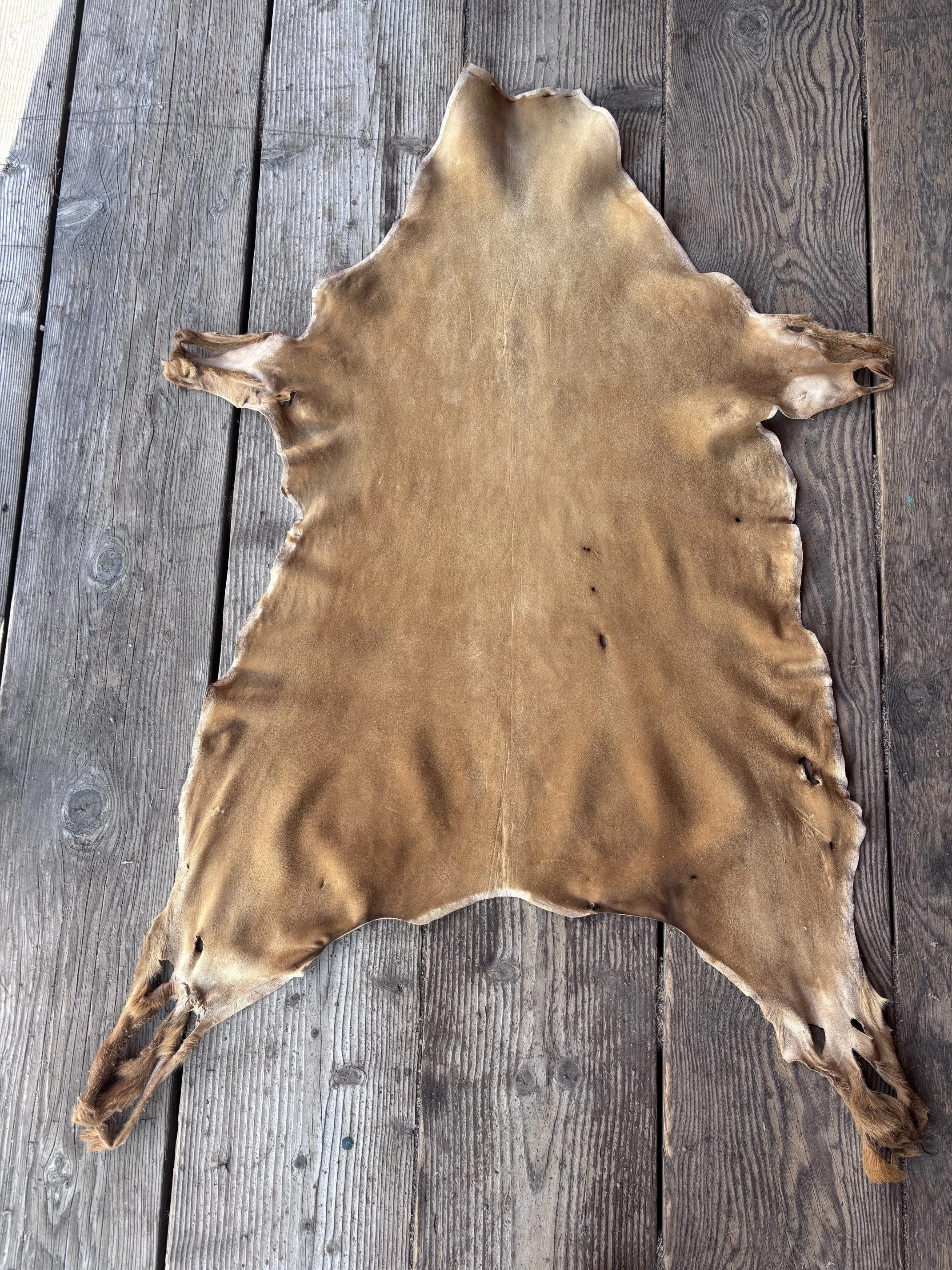 image1 (37).jpeg