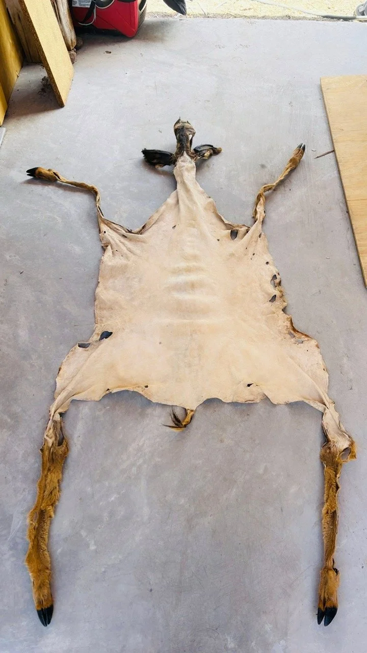 Diné Style White Hide - Full Face and Appendages