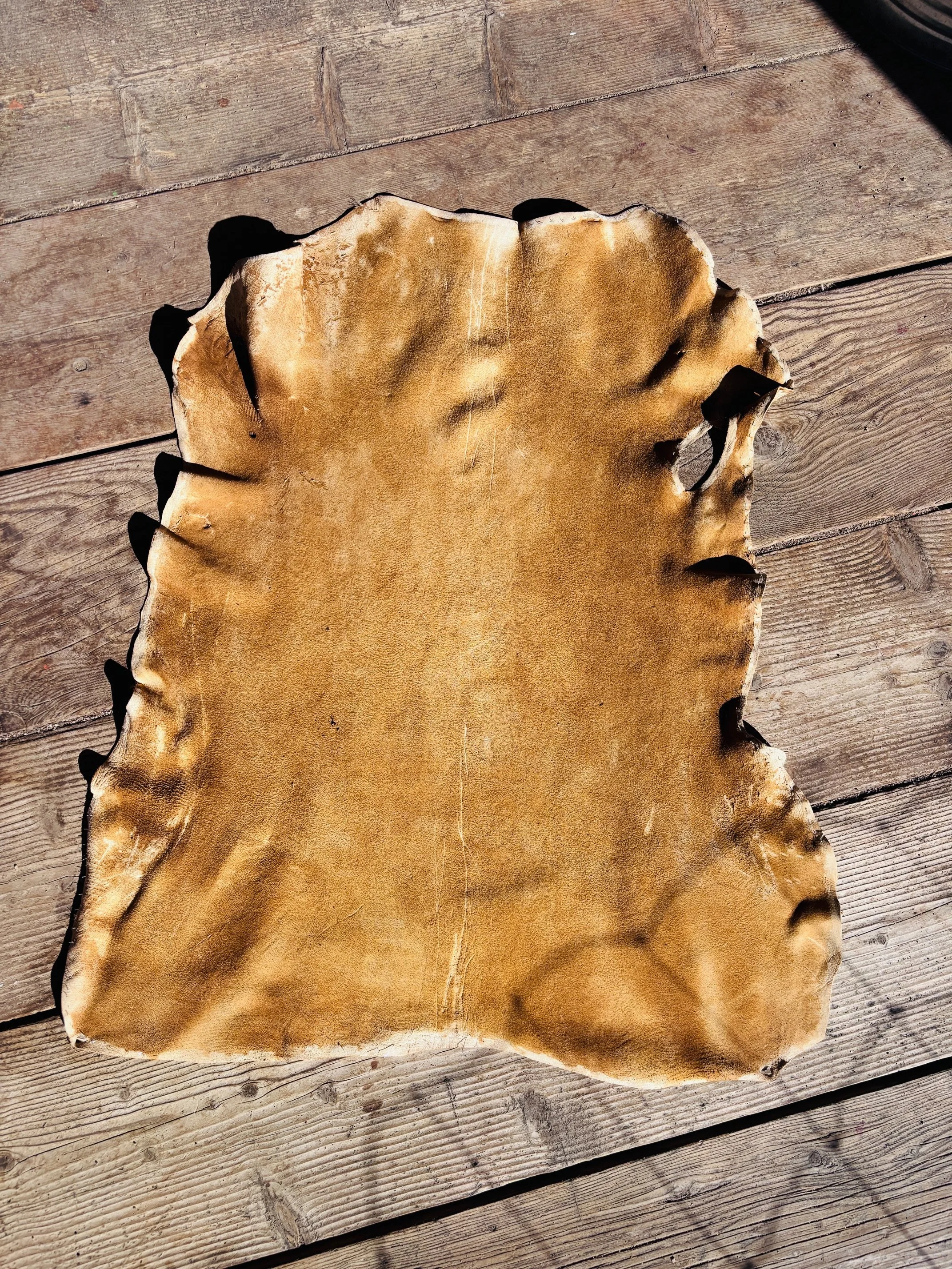 Brain Tanned Buckskin - 6.5 Square Feet