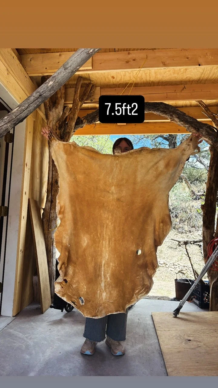 image1 (26).jpeg