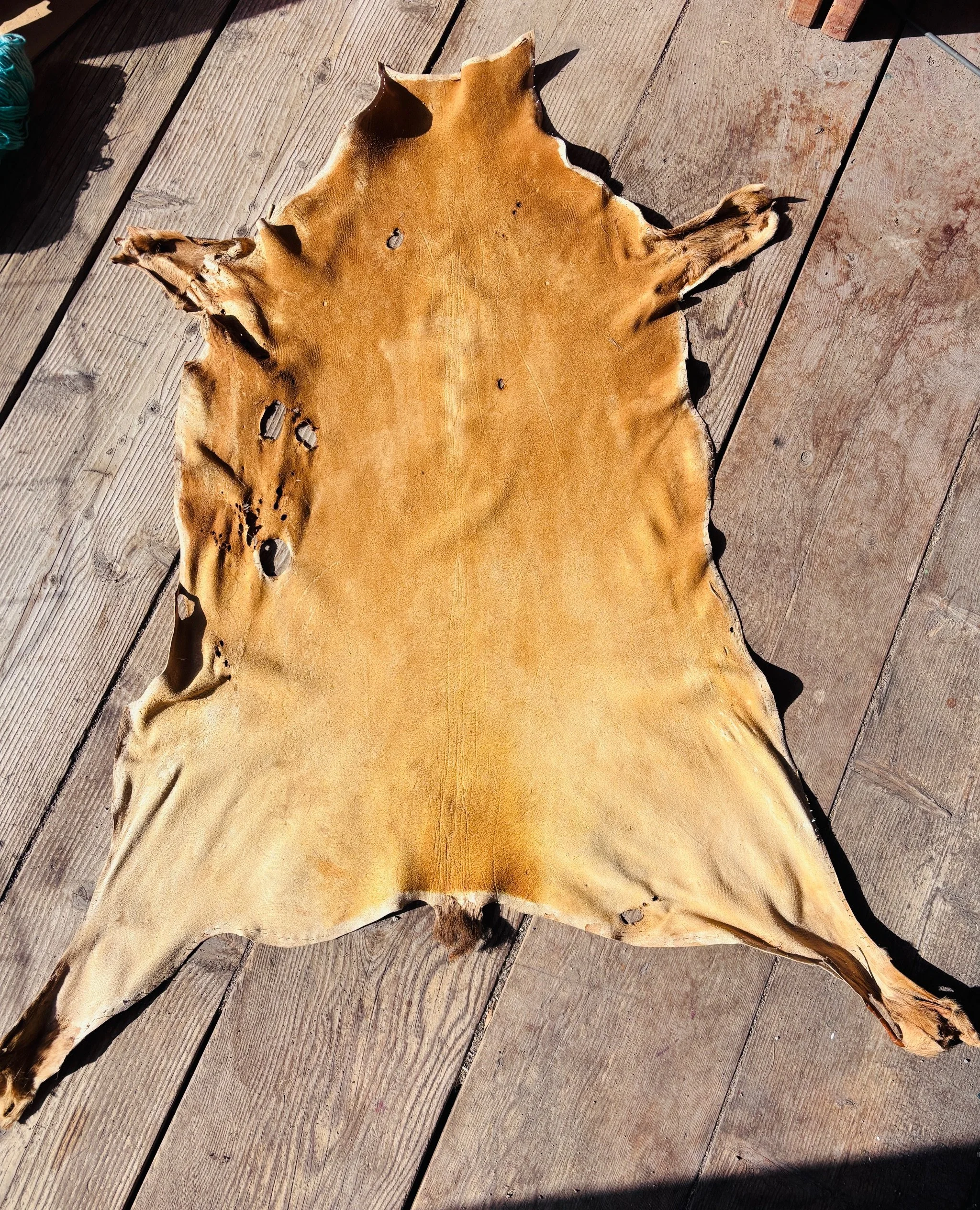 Brain Tanned Buckskin - 8 Square Feet (Reduced Price)