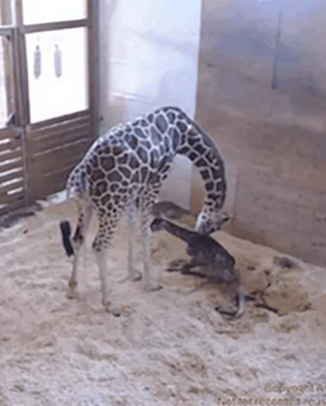 Breaking the Internet