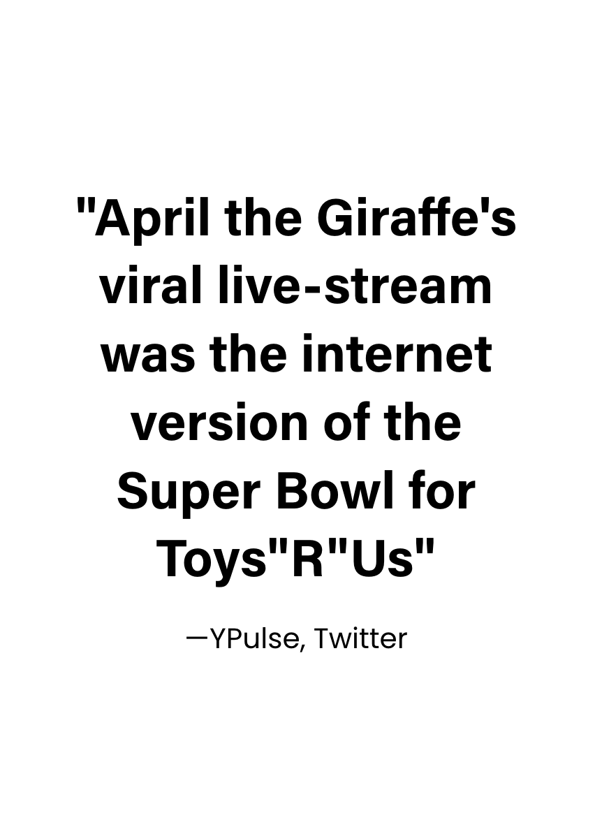tru-april-giraffe-ypulse-copy.png