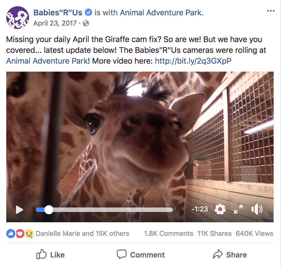 april-giraffe-bru-shop-giraffe-toys-2.png