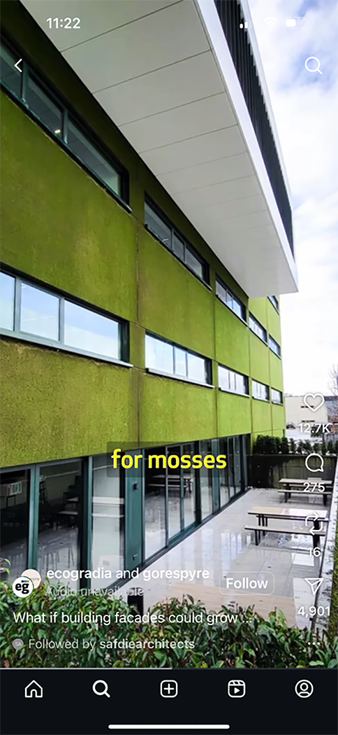 Moss-growing concrete