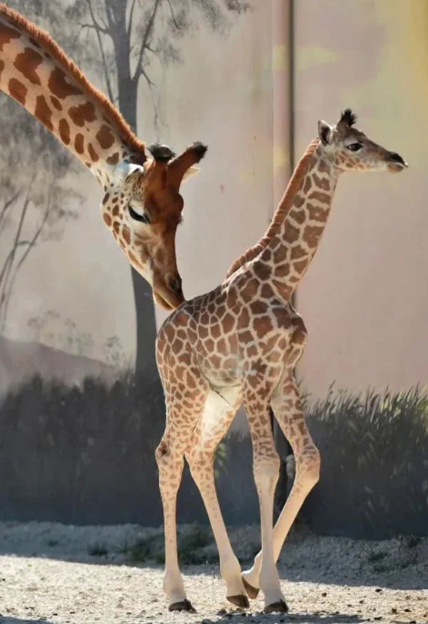 Breaking the Internet