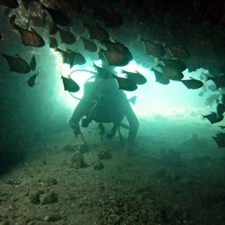 Hole in the Wall