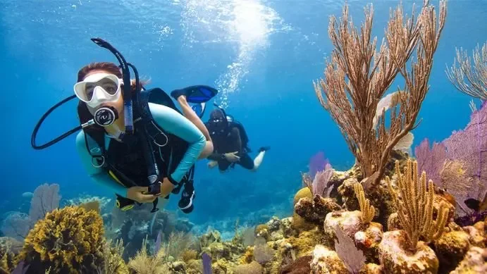 scuba Al aqah