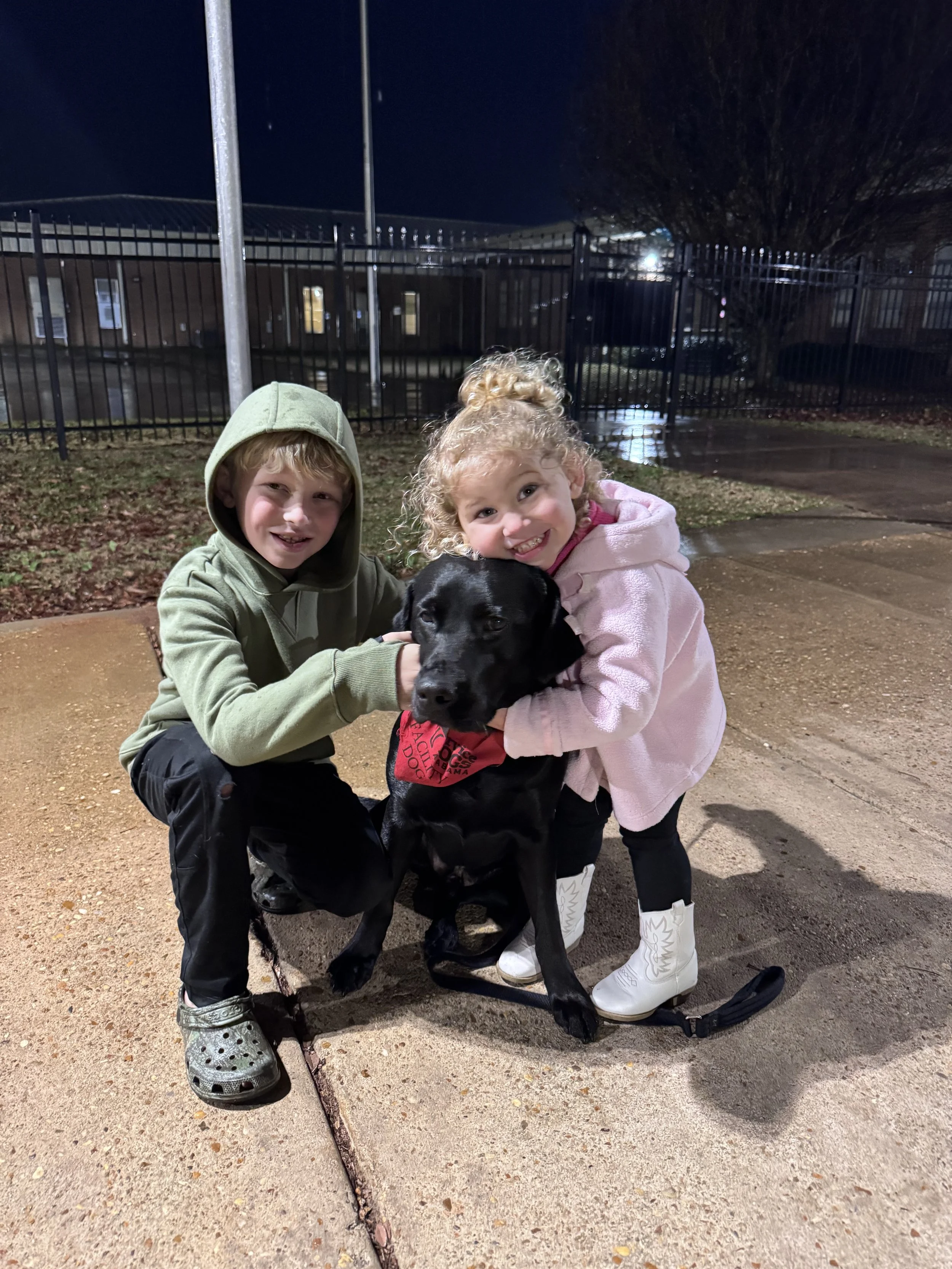 Top 5 Reasons You SHOULD Be a Puppy Raiser