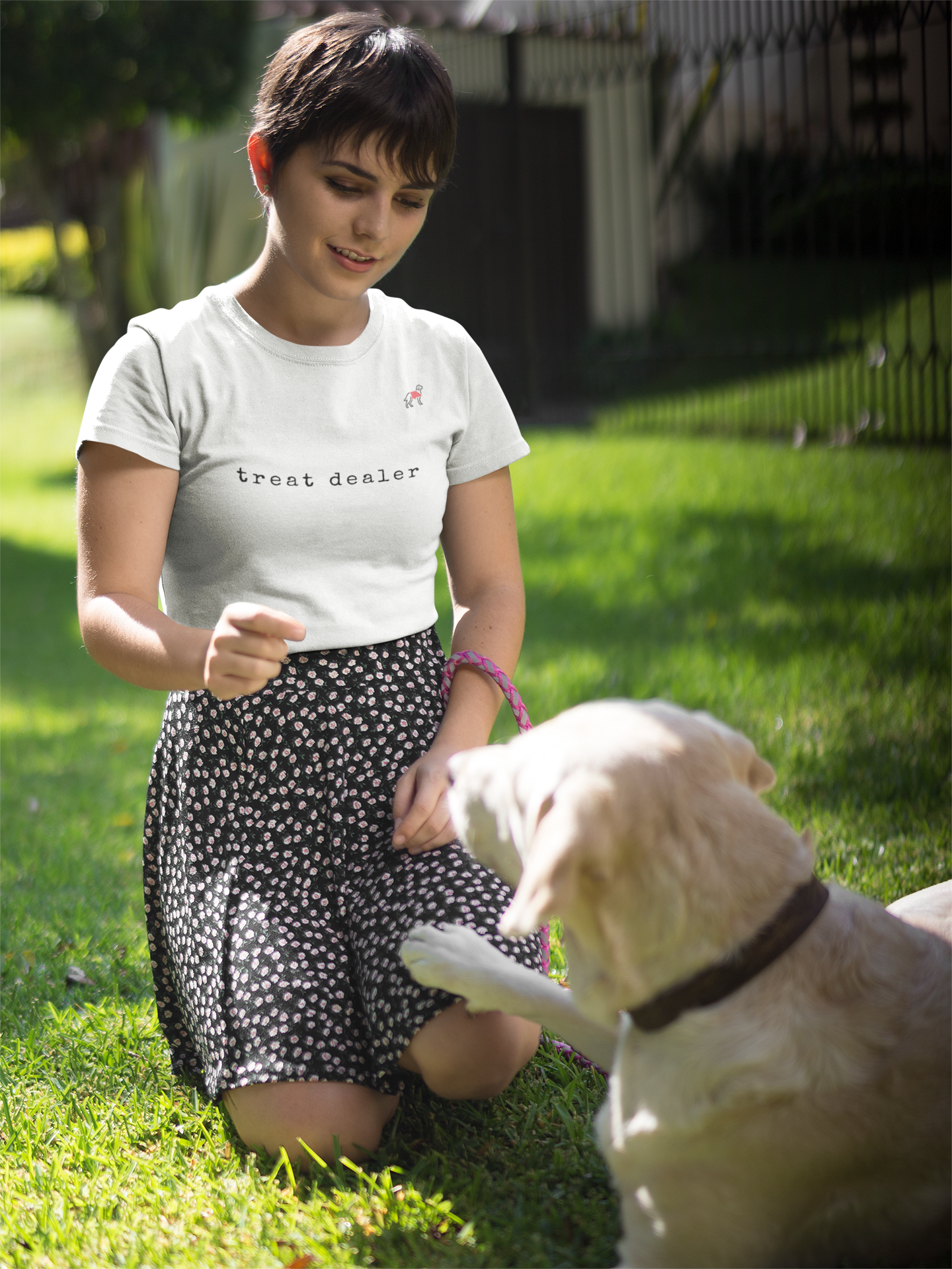 Working Dog Series - Spring 2026 : Treat Dealer