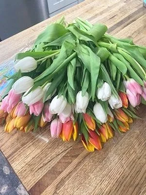 A bunch of tulips in various colors including white, pink, yellow, and orange, laid on a wooden surface.