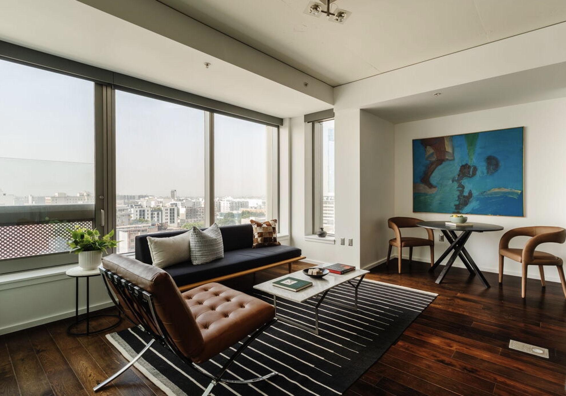 Skyline Views  | DTLA