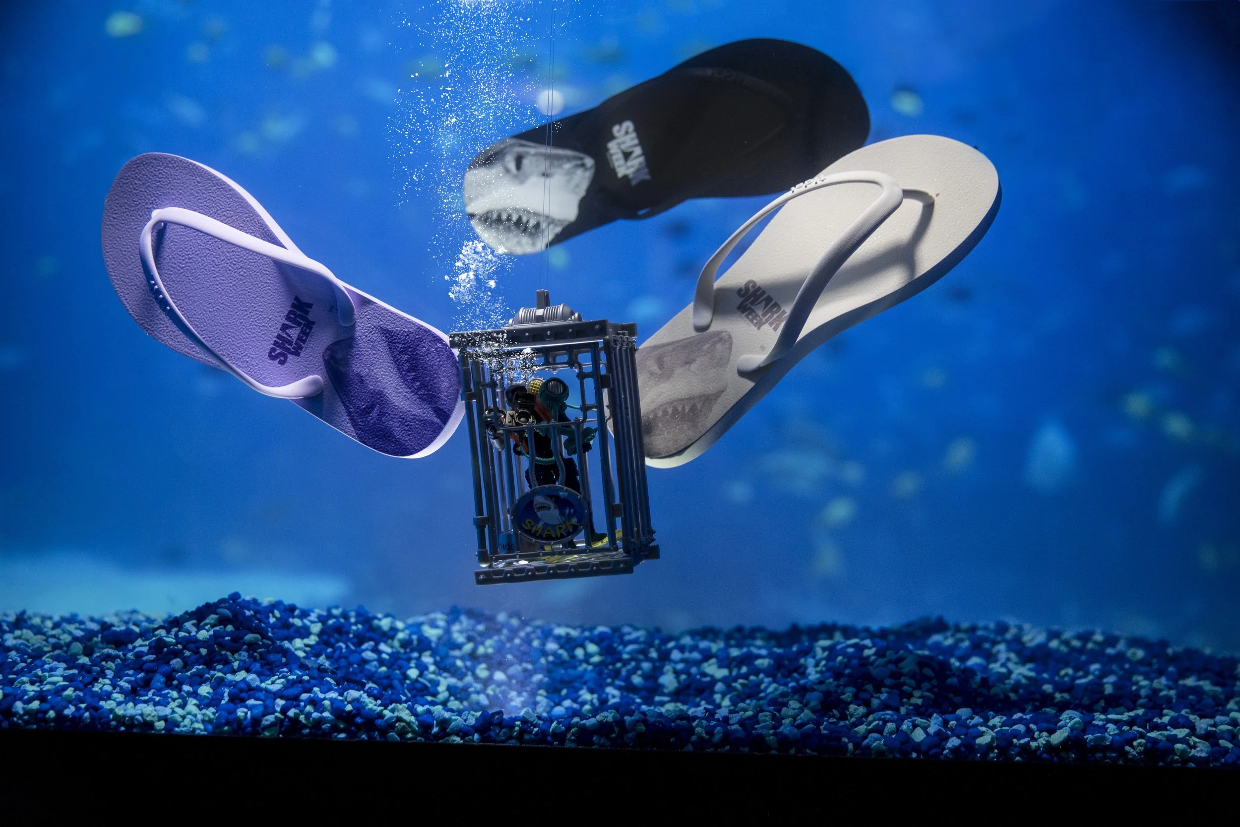 TIDAL NY Flip Flops Sandals Shark Week Nat Geo  IMG_8596.jpg