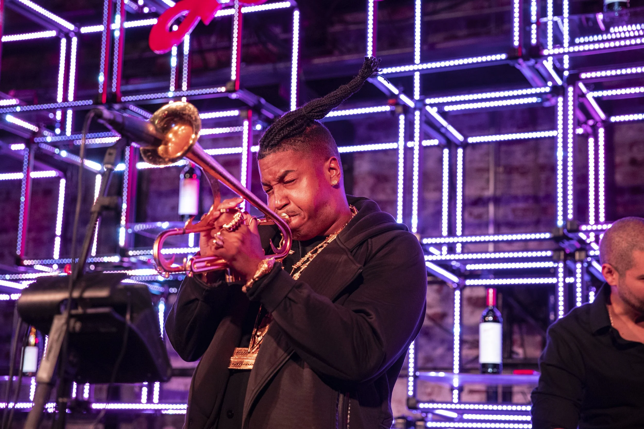 Penfolds Wine Launch Event Masterclass NYC 2018 3538.JPG