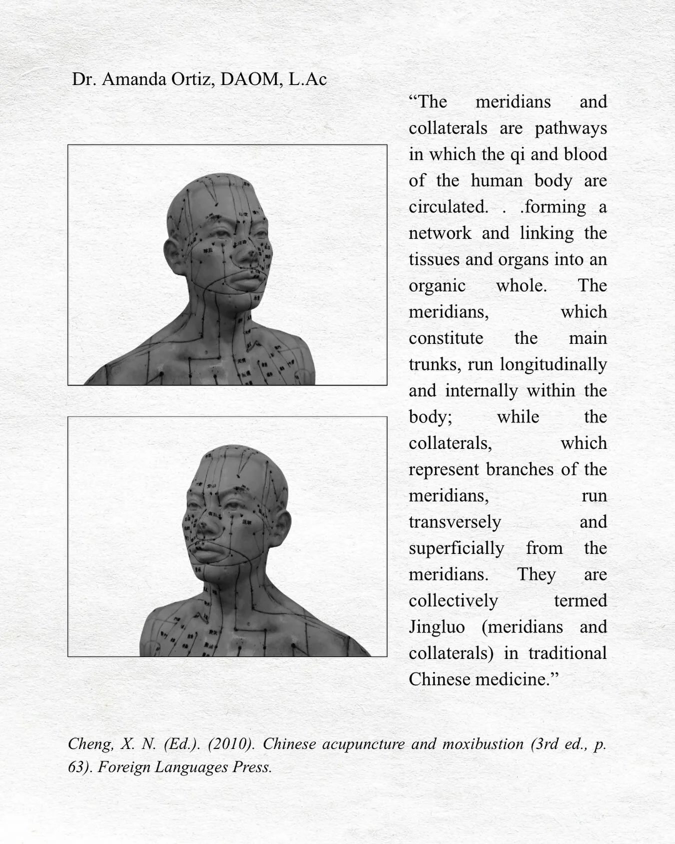 &ldquo;The meridians and collaterals are pathways in which the qi and blood of the human body are circulated. . .forming a network and linking the tissues and organs into an organic whole. The meridians, which constitute the main trunks, run longitud