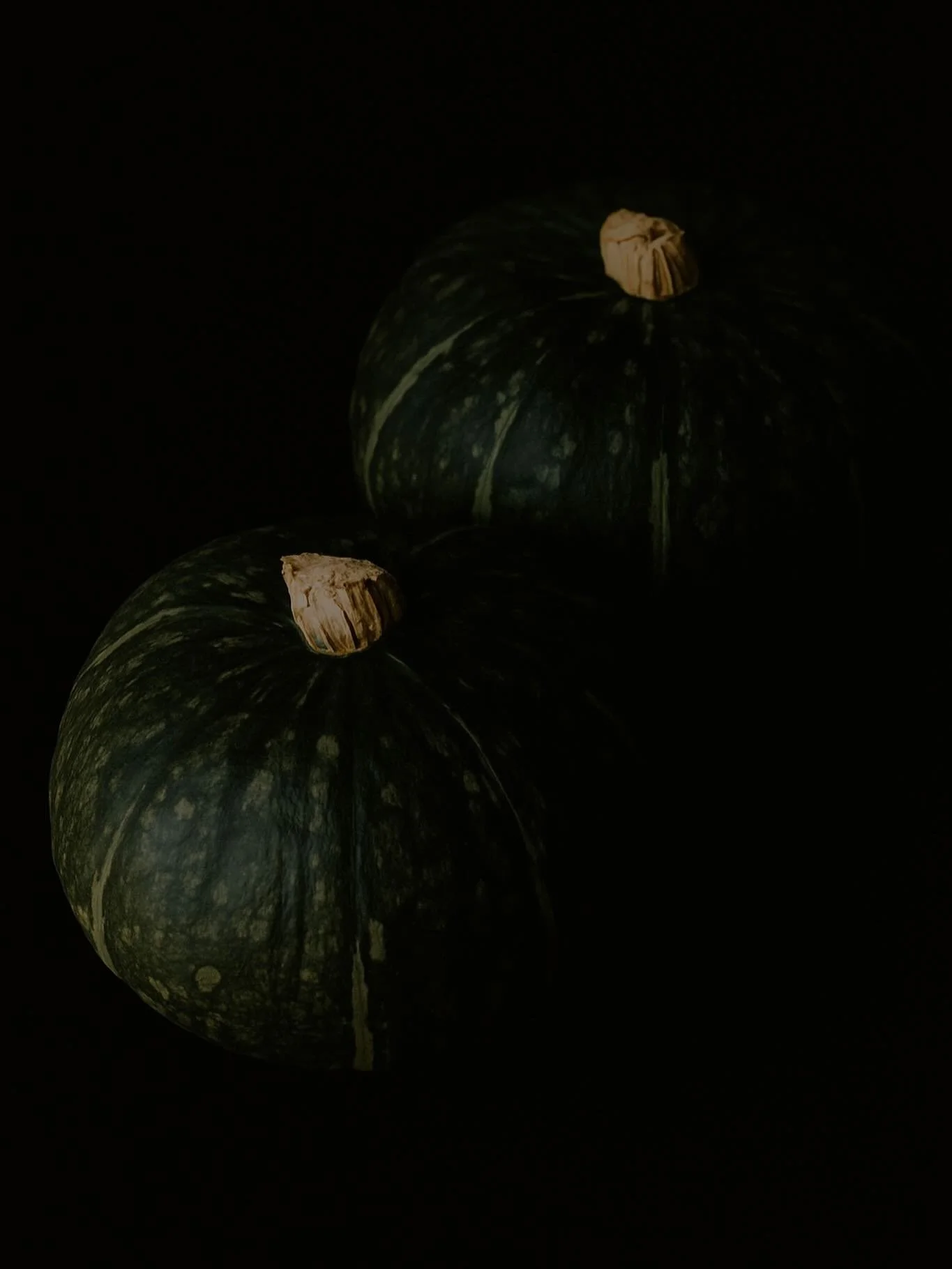 Stovetop Kabocha Squash: Sweet, Quick, and Easy 🤍

With its warm orange color and naturally sweet flavor, kabocha squash is cozy, nourishing, and so good. Cooking it on the stovetop makes for a quick and easy preparation, as it softens nicely, caram